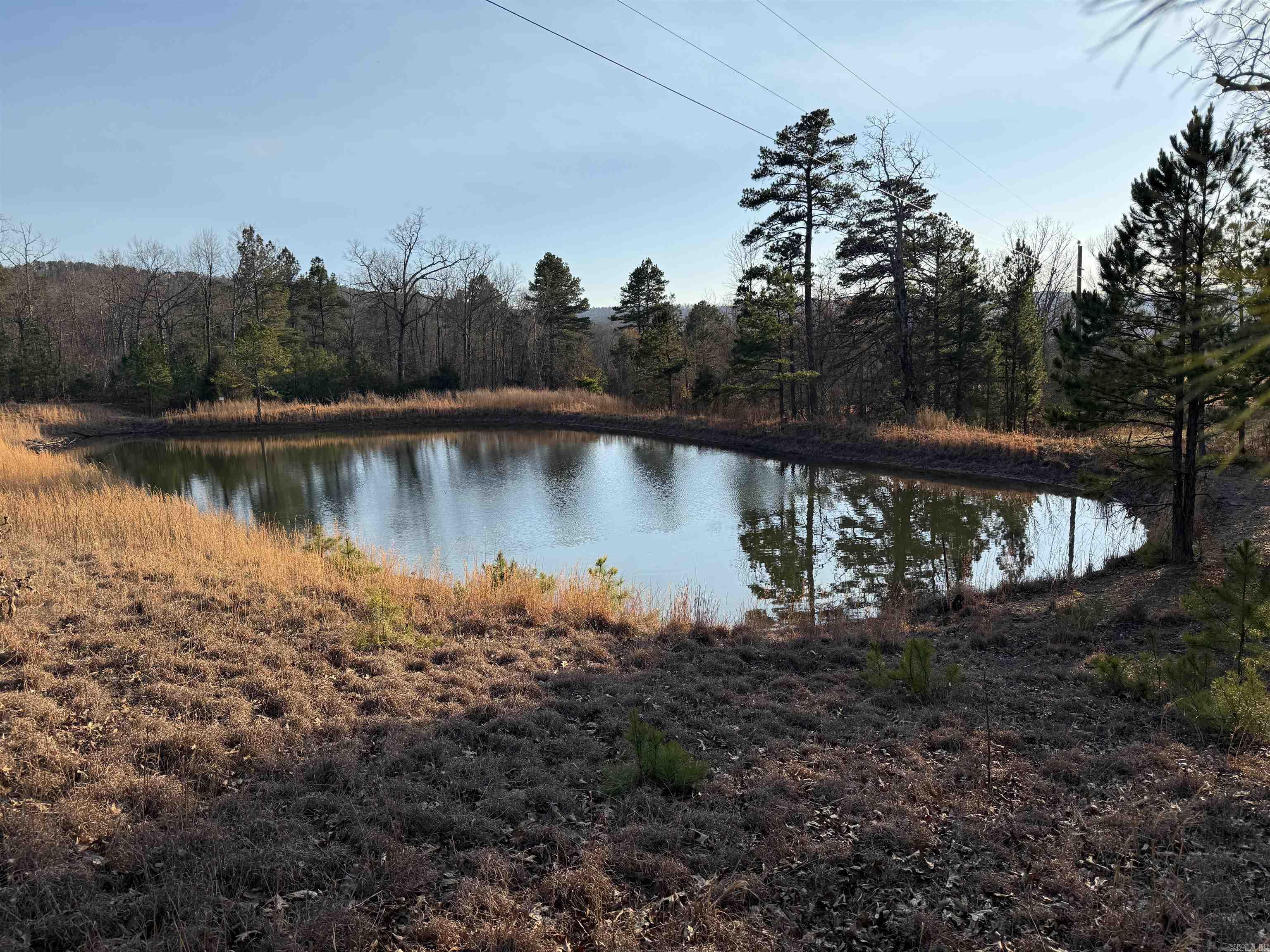 00 Daniel Hill  Leslie, AR