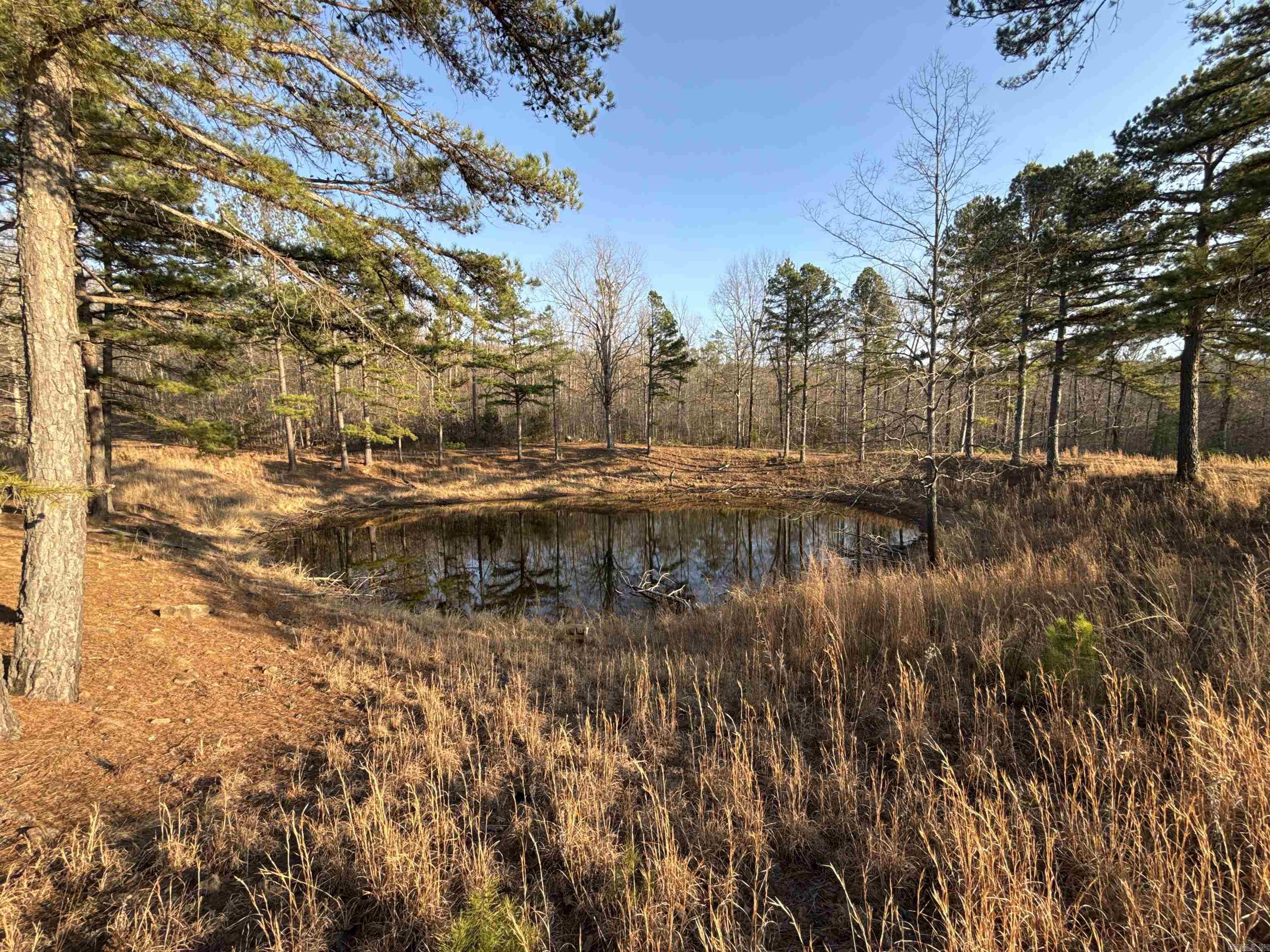 00 Daniel Hill  Leslie, AR