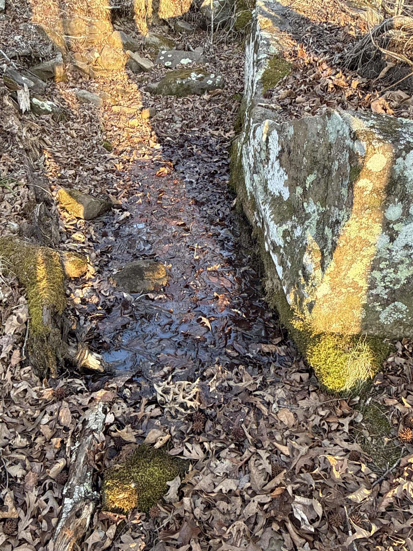 00 Daniel Hill  Leslie, AR