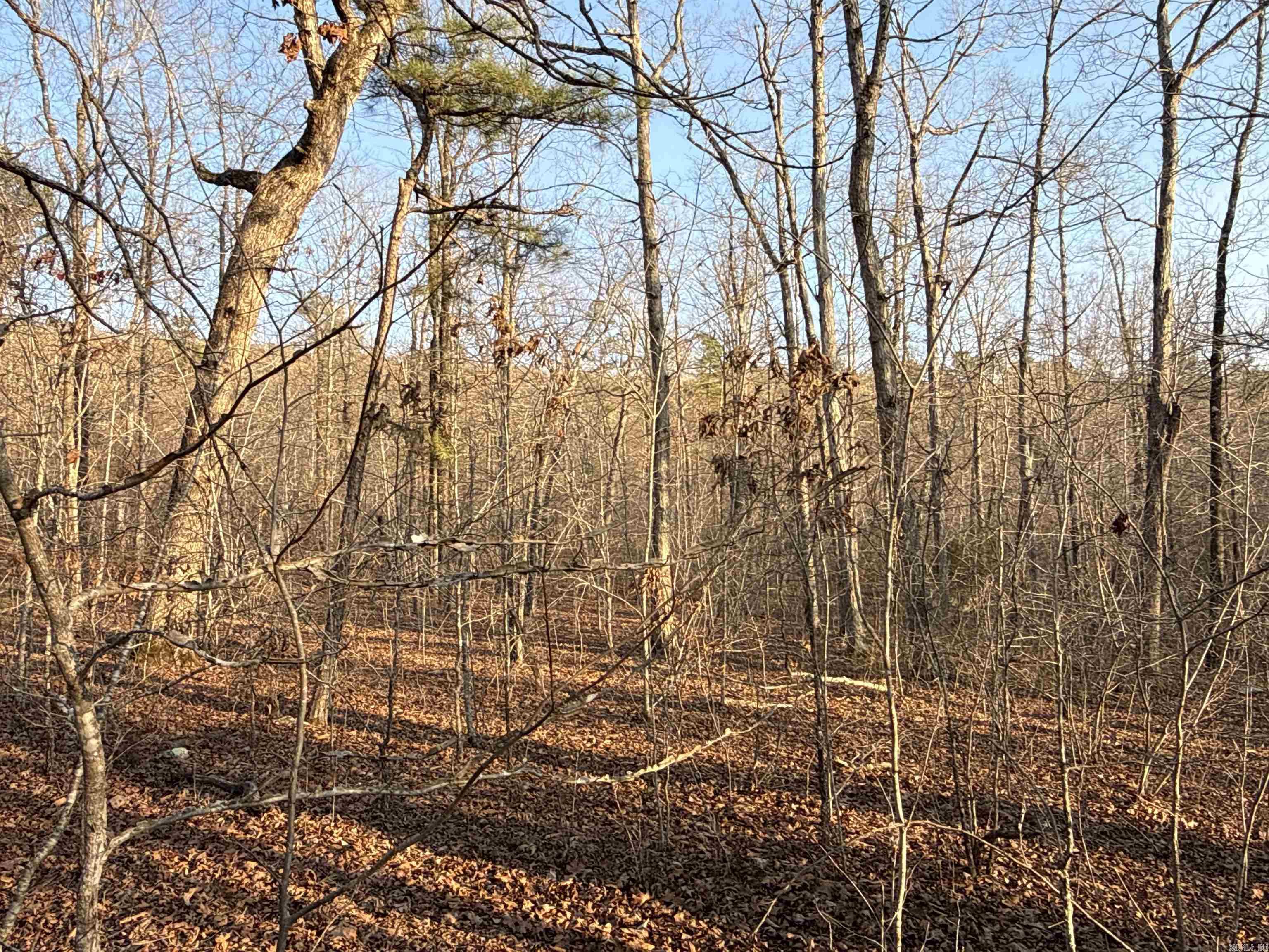 00 Daniel Hill  Leslie, AR