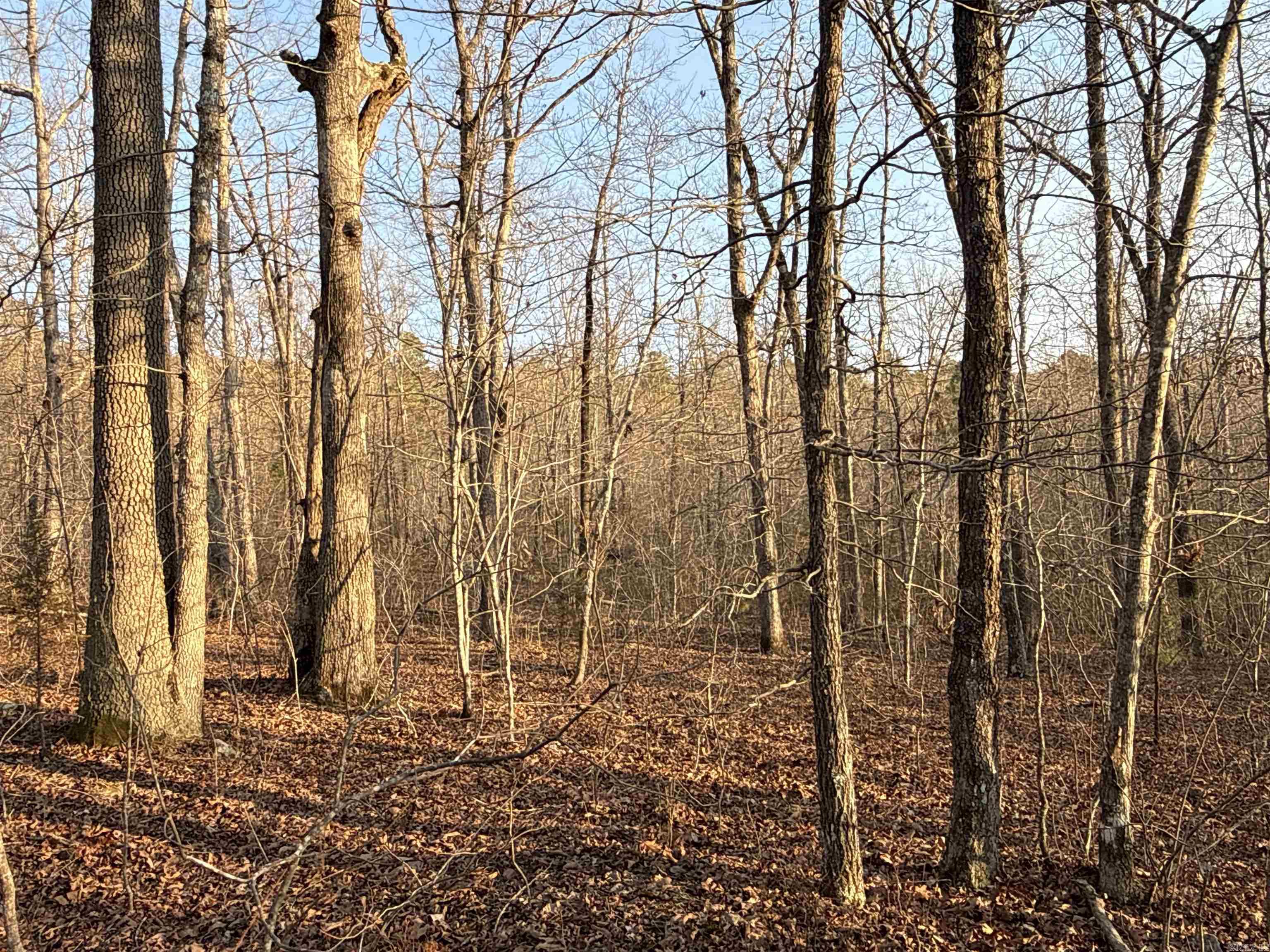 00 Daniel Hill  Leslie, AR