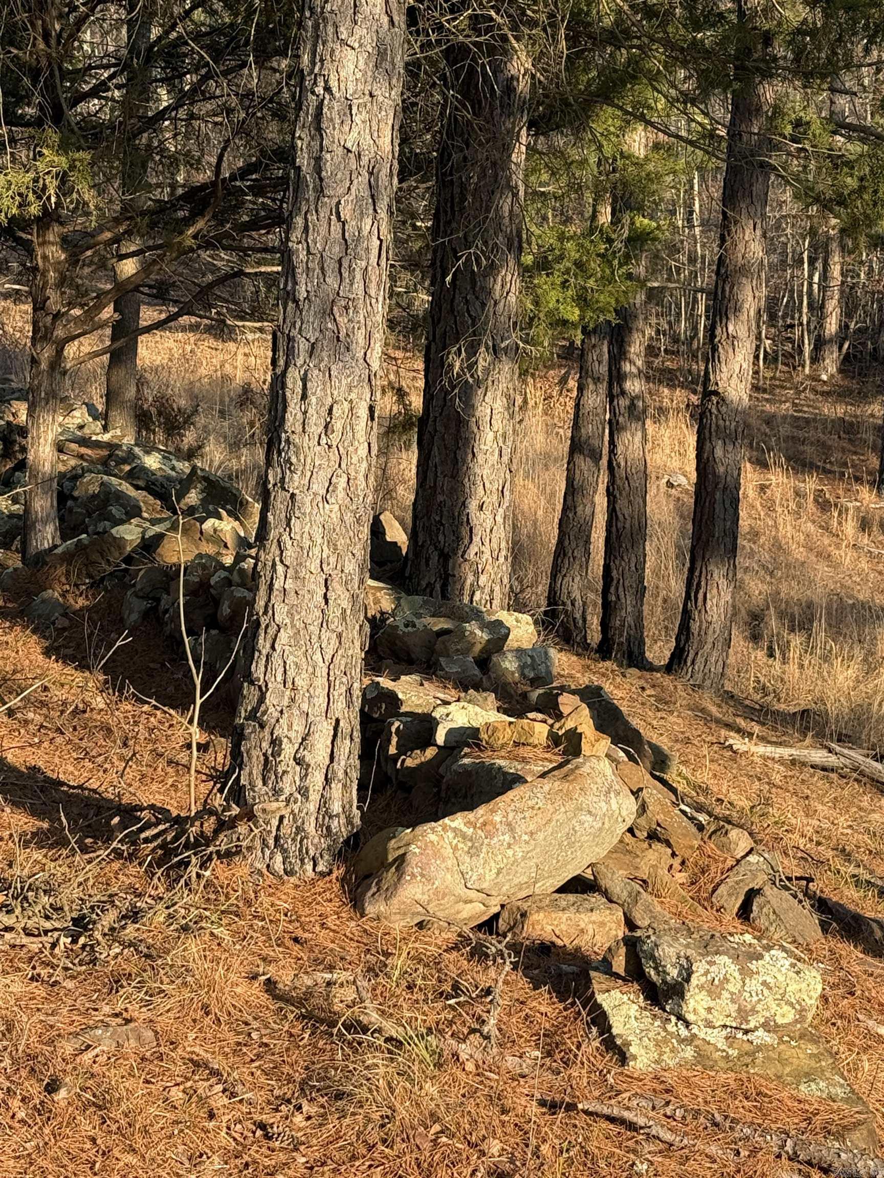 00 Daniel Hill  Leslie, AR