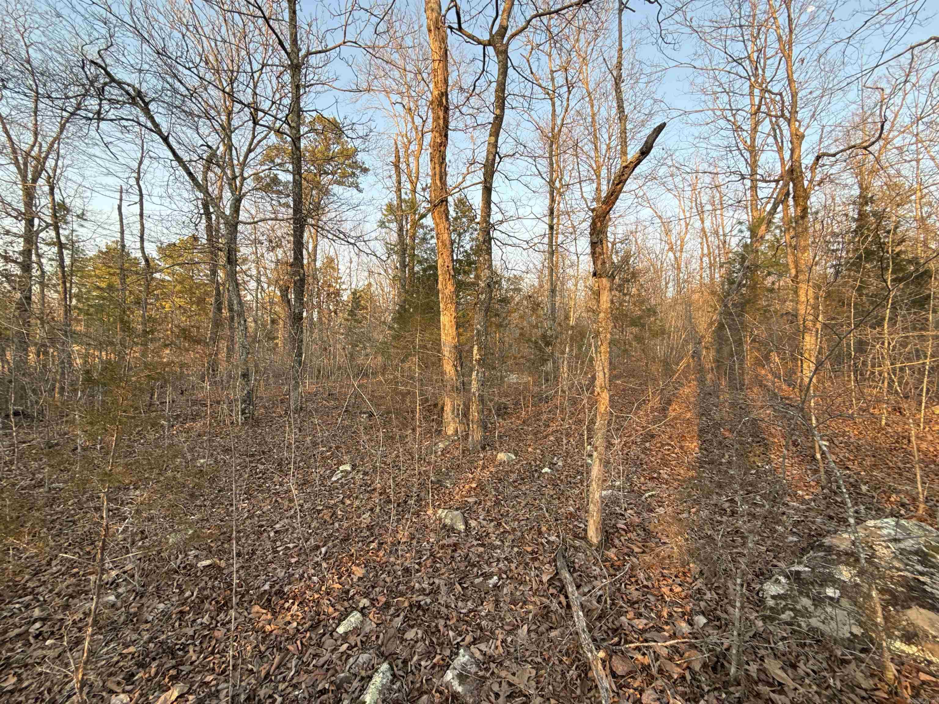 00 Daniel Hill  Leslie, AR