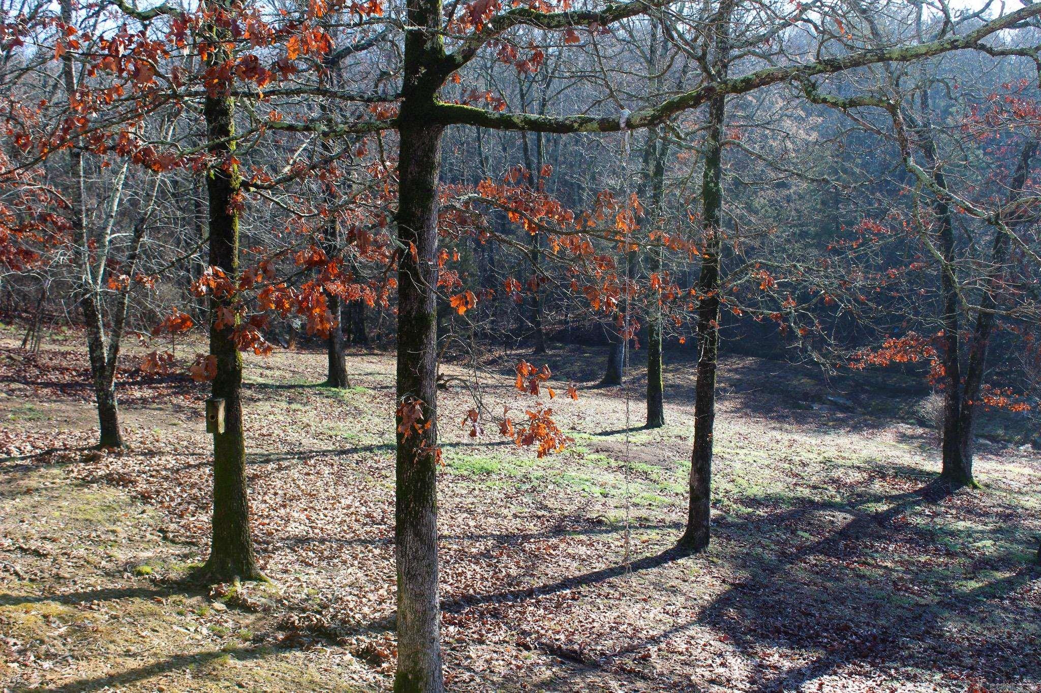 117 Big Mountain  Beebe, AR