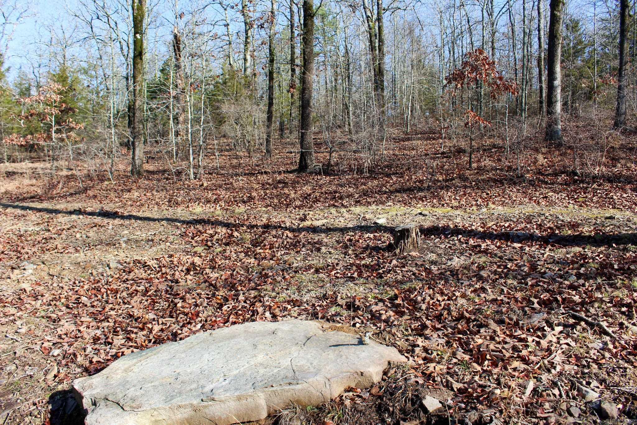 117 Big Mountain  Beebe, AR