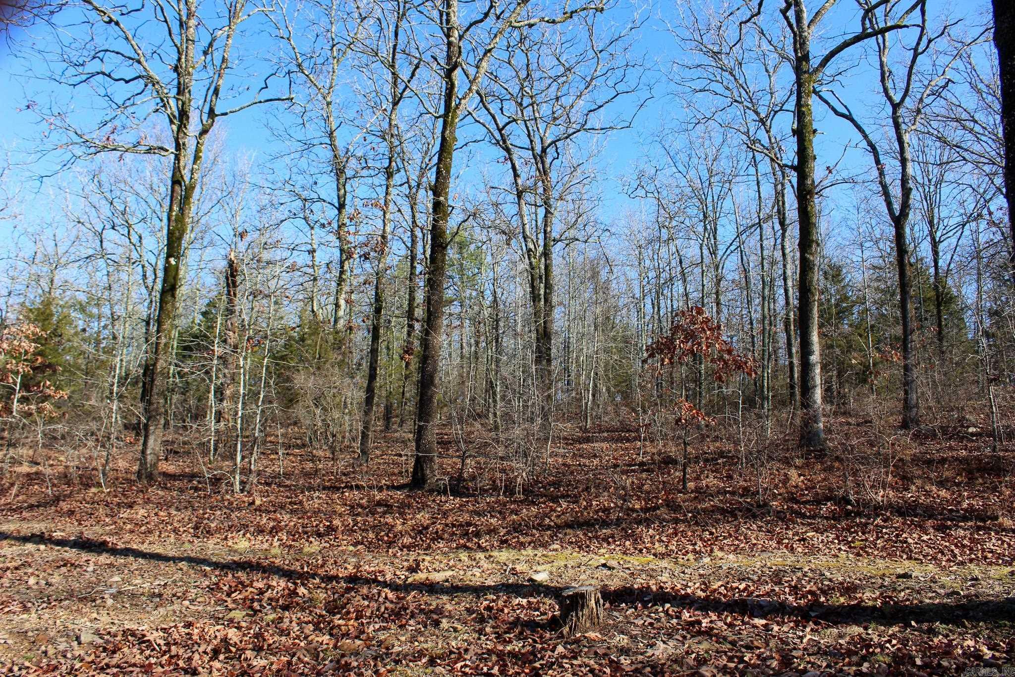 117 Big Mountain  Beebe, AR