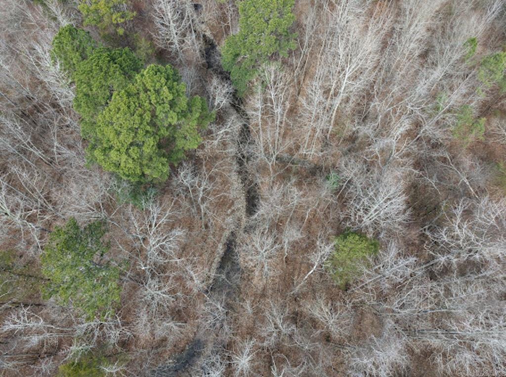 3053 Southside  Oden, AR