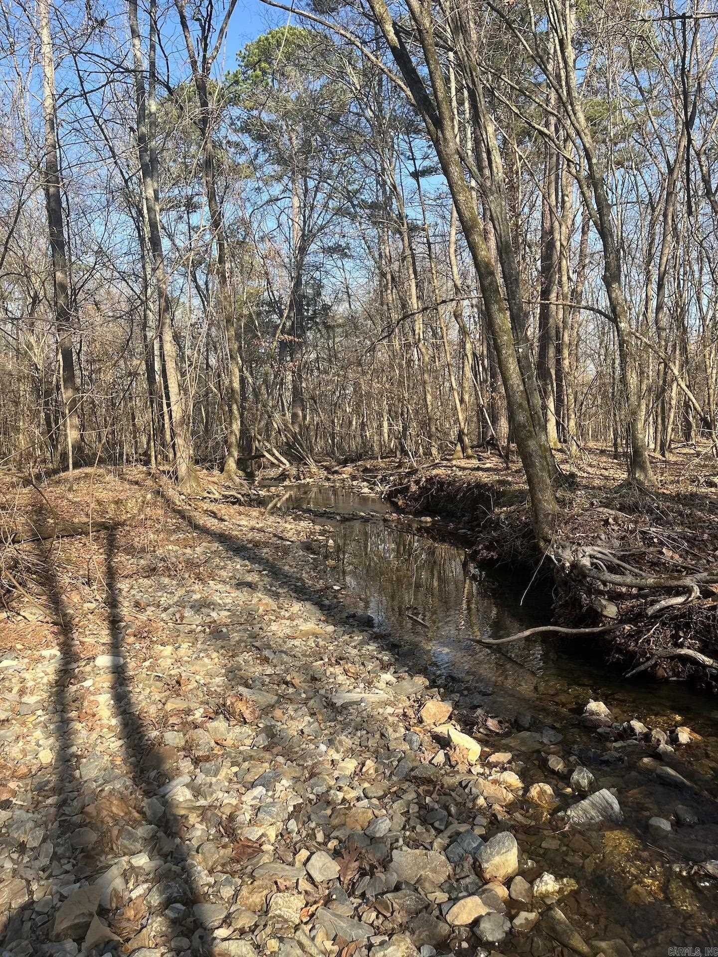 3053 Southside  Oden, AR