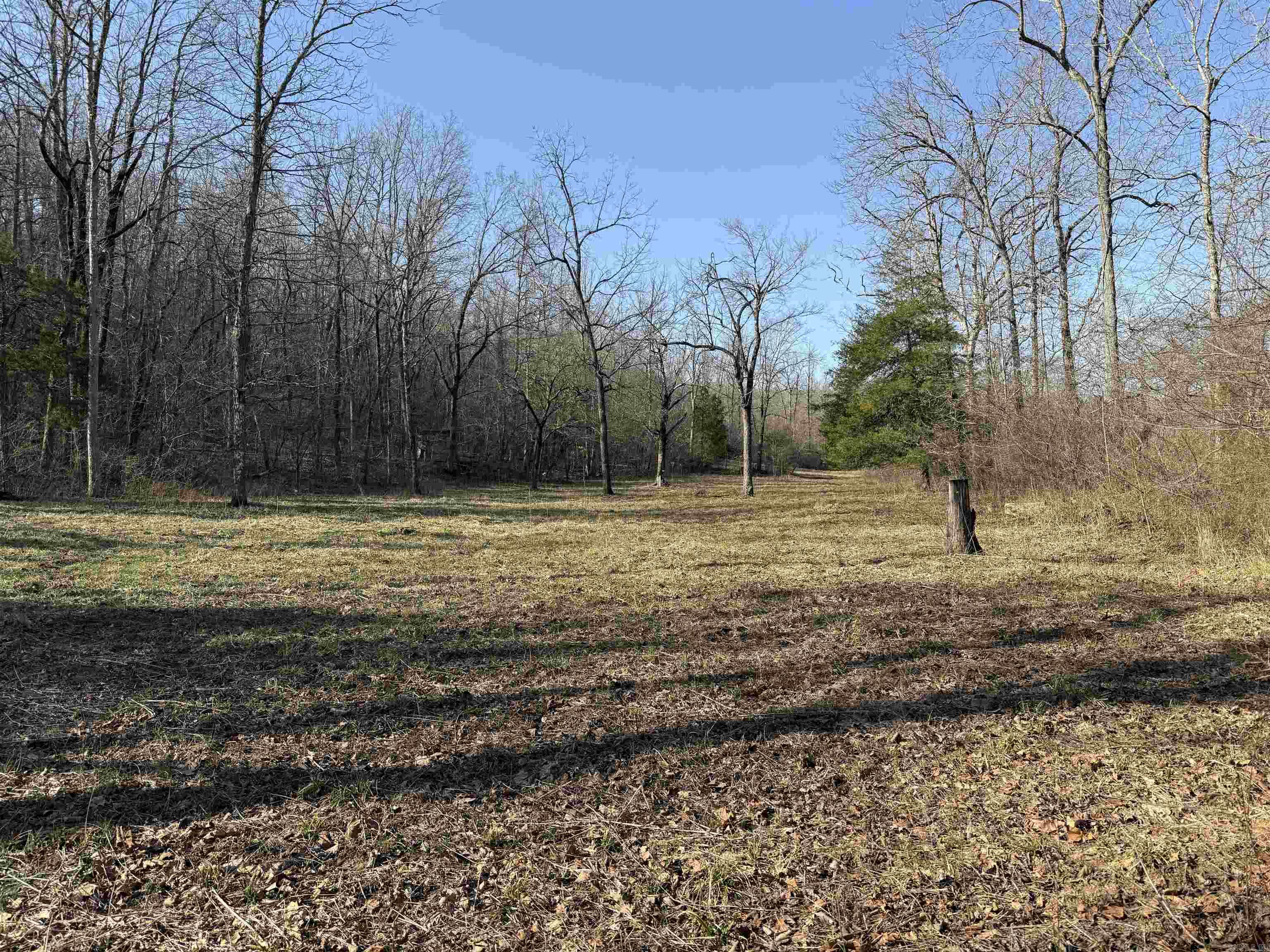 000 Daniel Hill  Leslie, AR