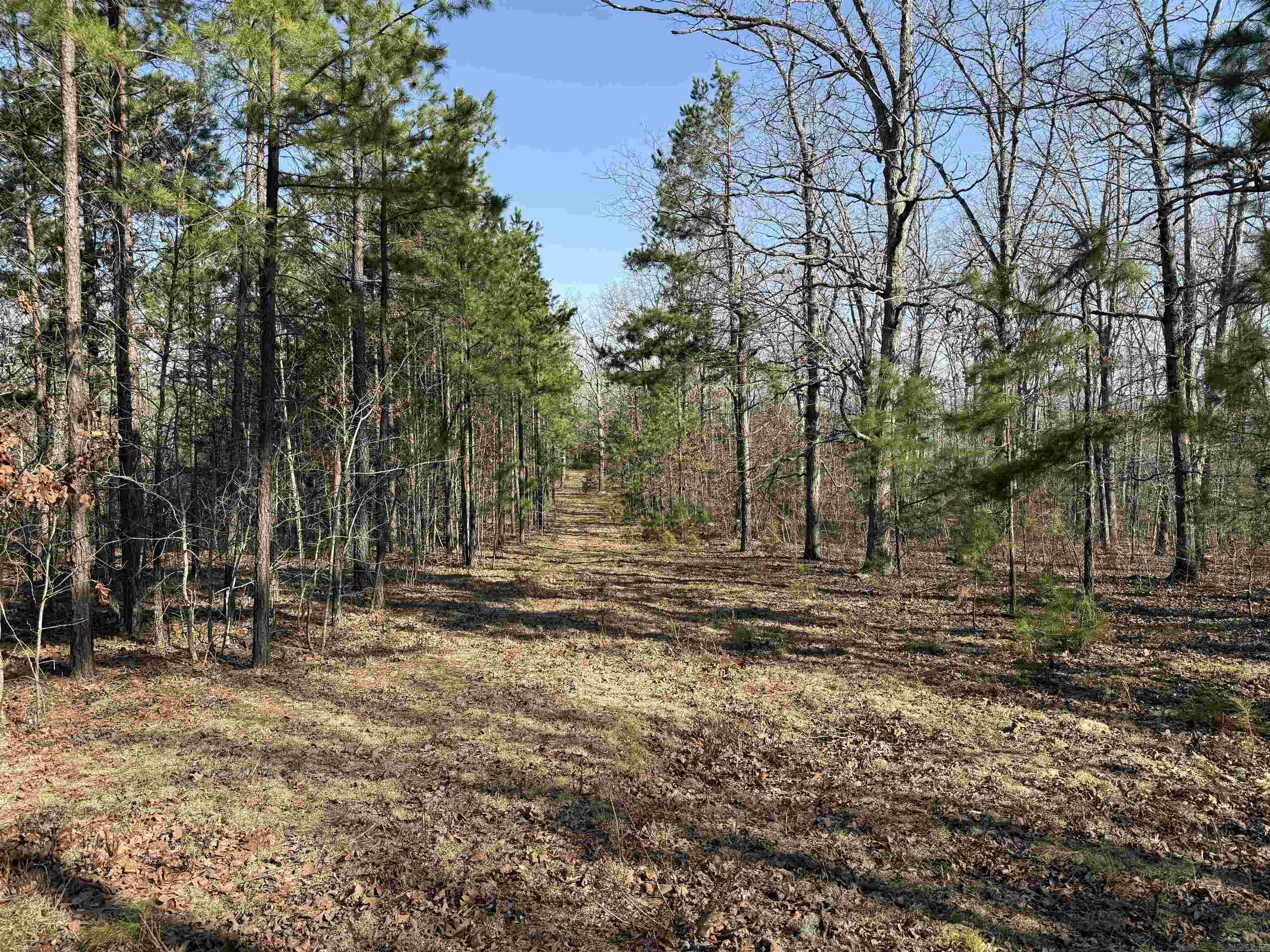 000 Daniel Hill  Leslie, AR