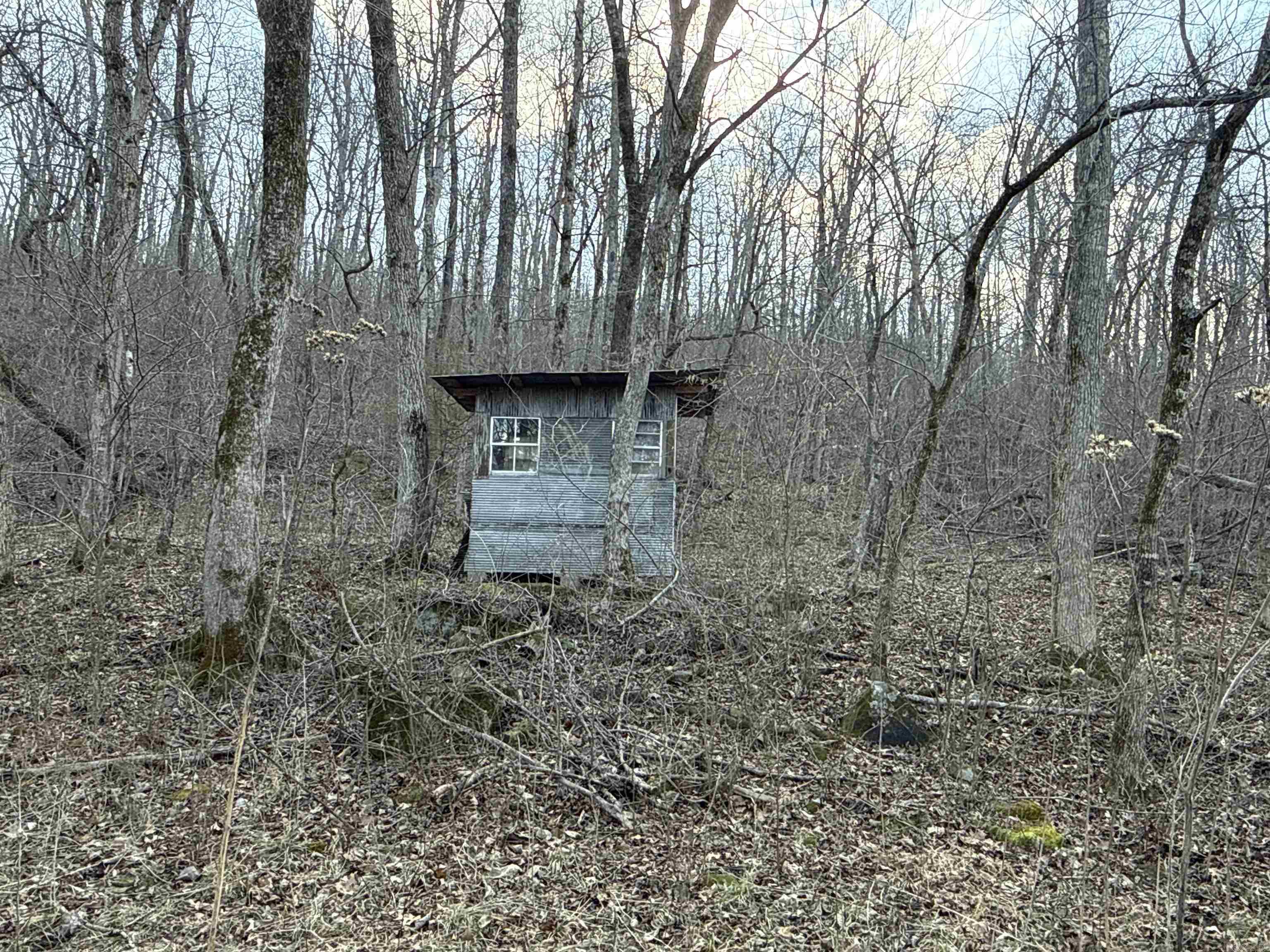 000 Daniel Hill  Leslie, AR