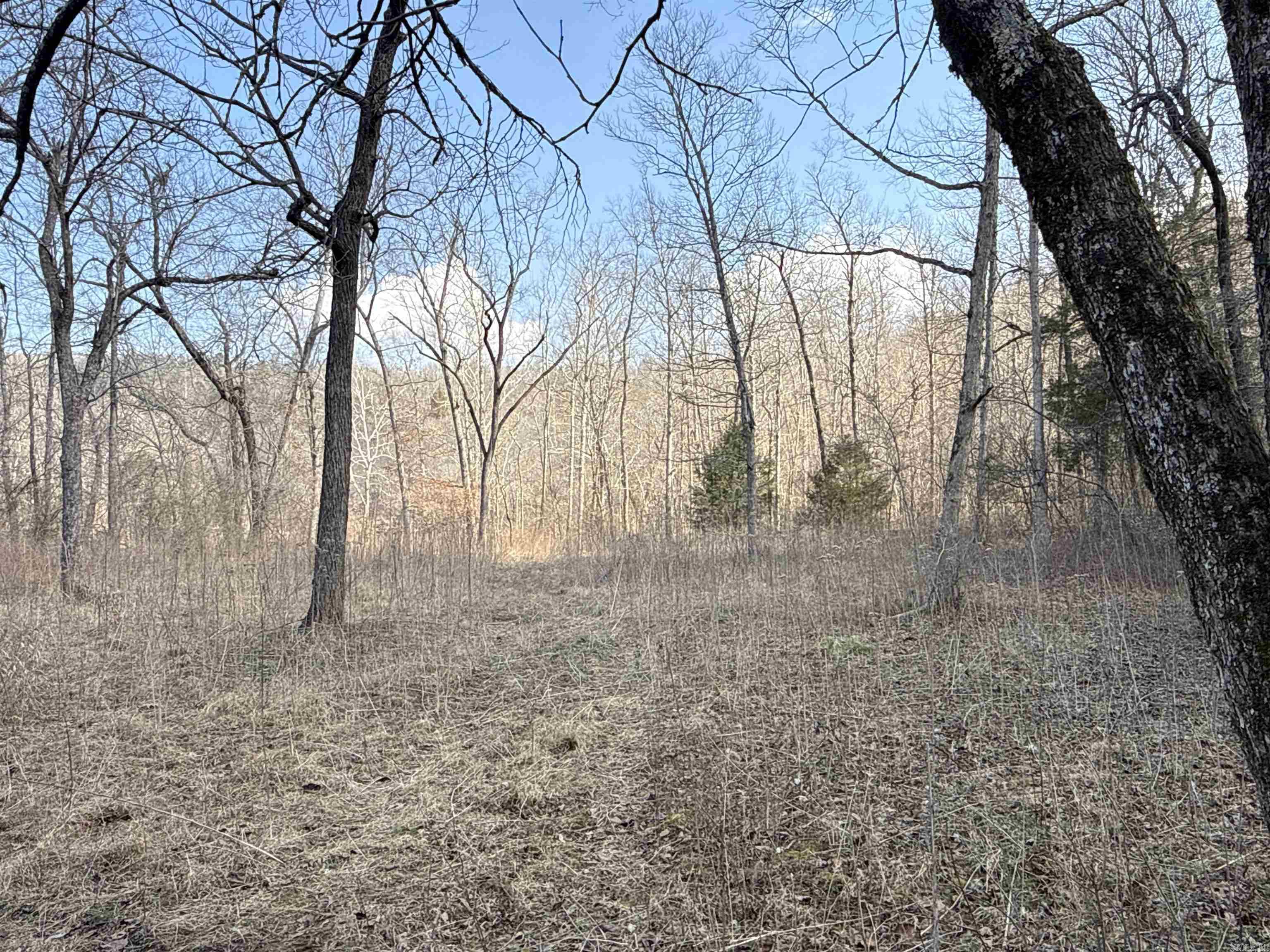 000 Daniel Hill  Leslie, AR