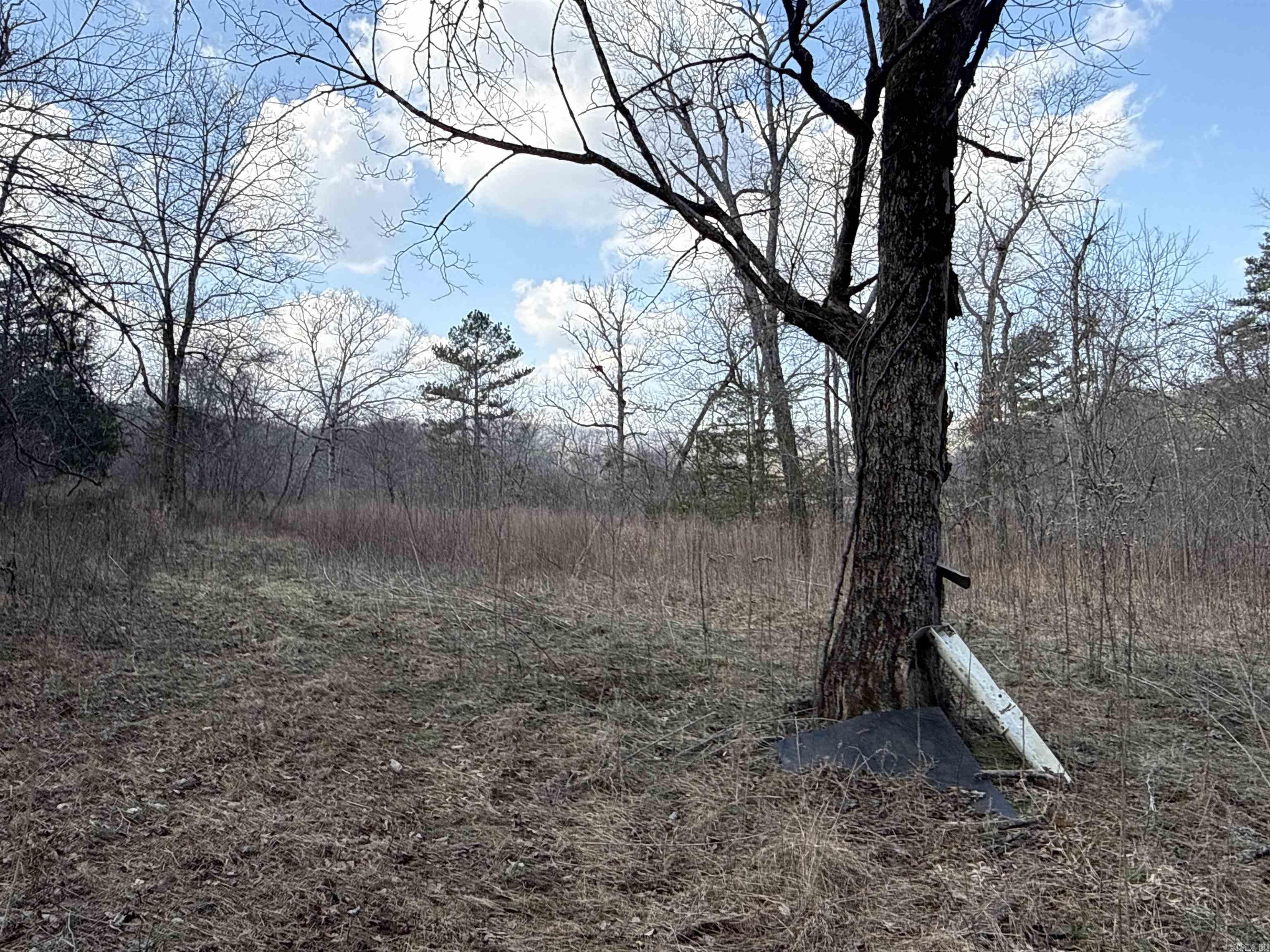 000 Daniel Hill  Leslie, AR