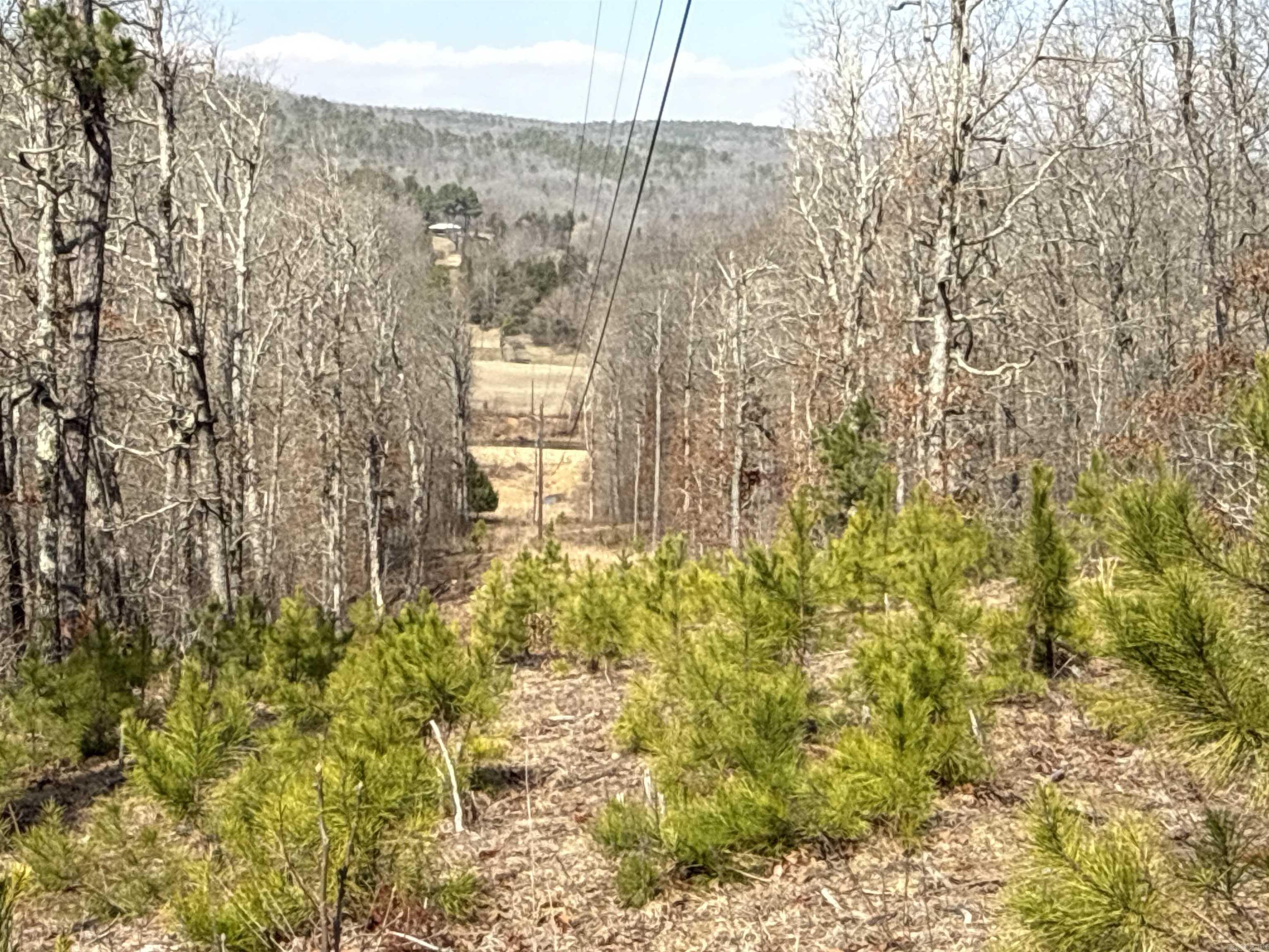 000 Daniel Hill  Leslie, AR