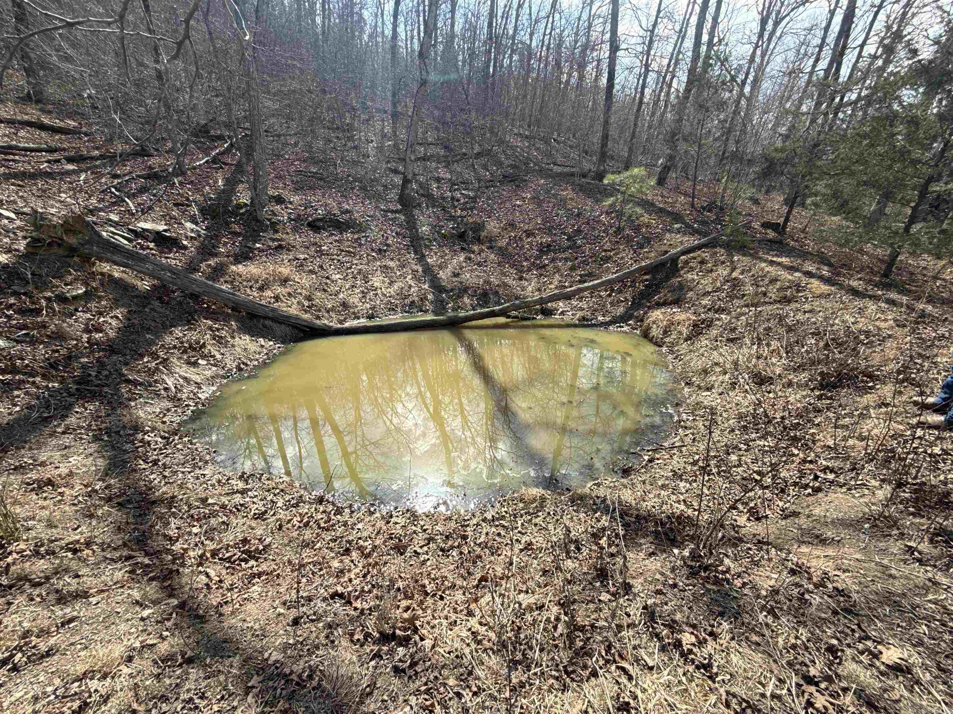 000 Daniel Hill  Leslie, AR