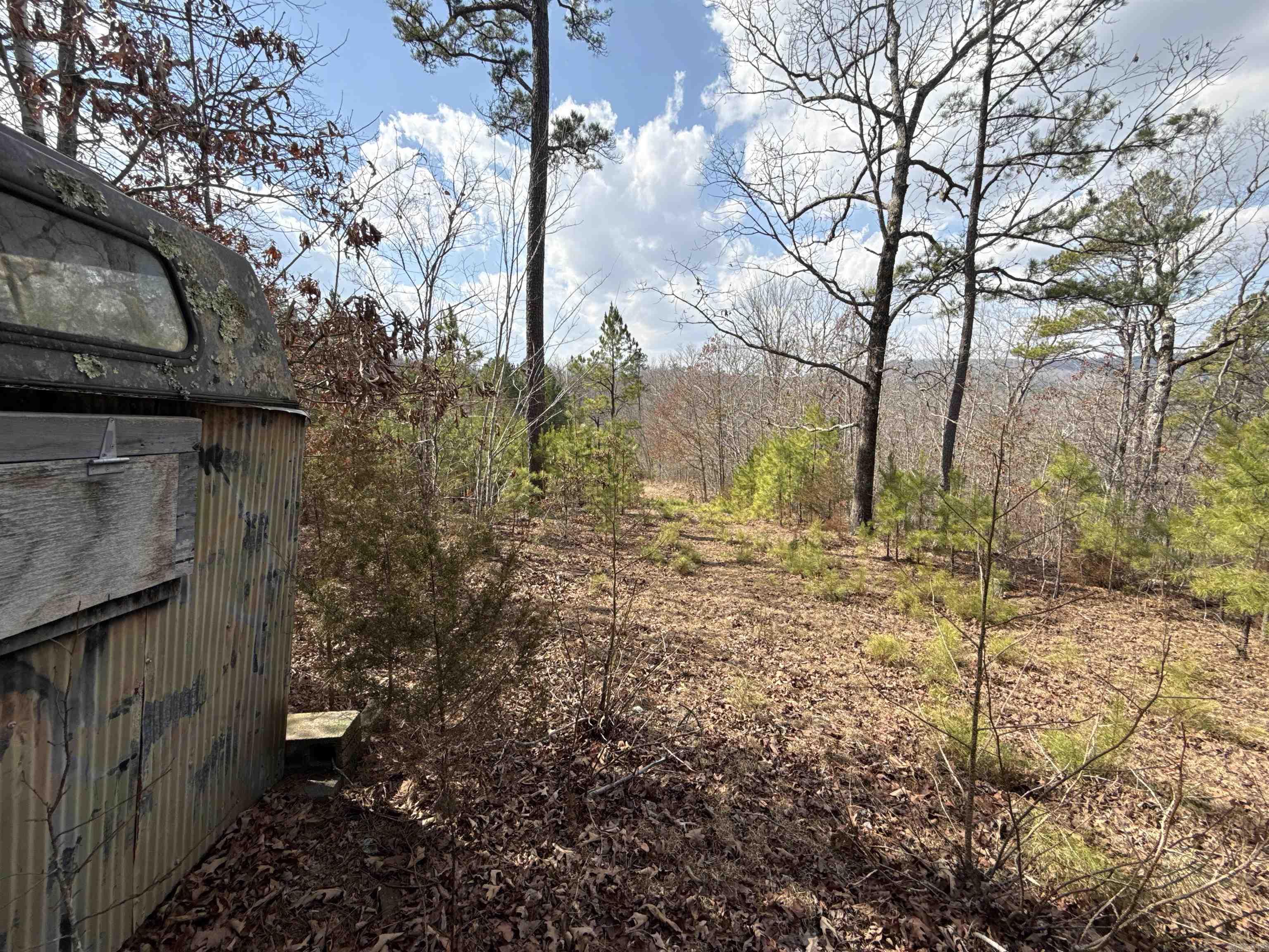 000 Daniel Hill  Leslie, AR