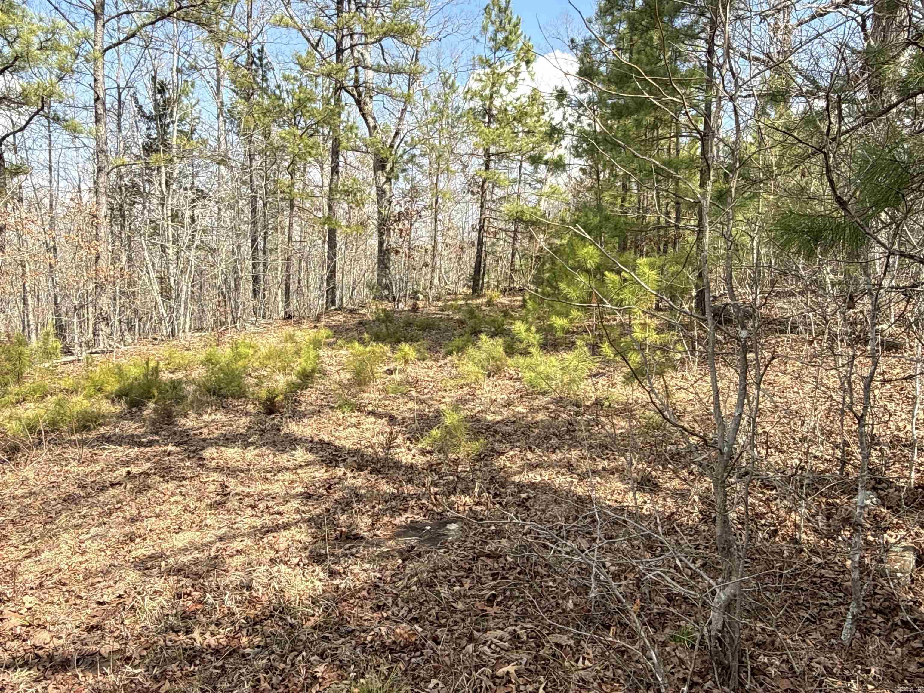 000 Daniel Hill  Leslie, AR