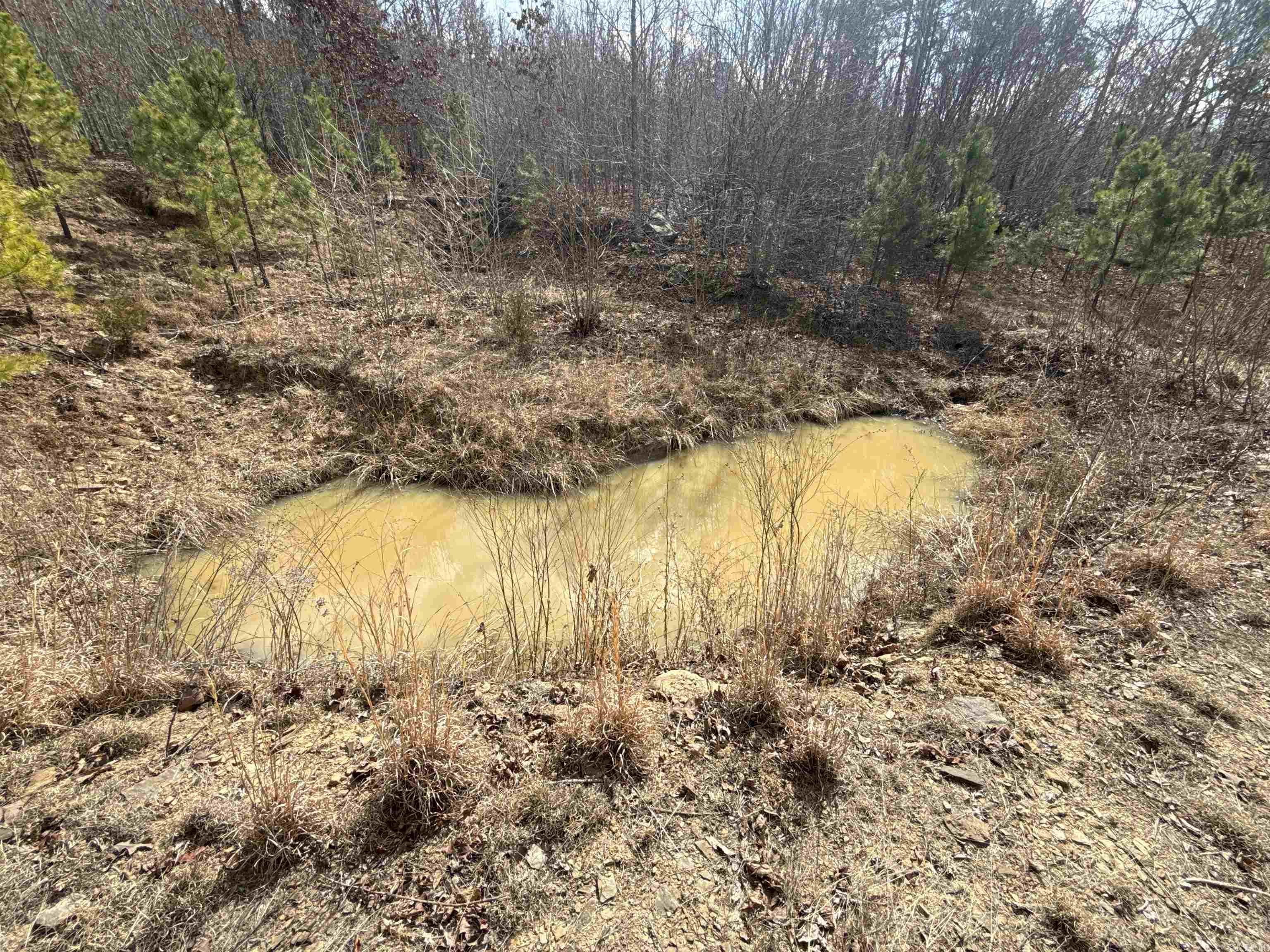 000 Daniel Hill  Leslie, AR