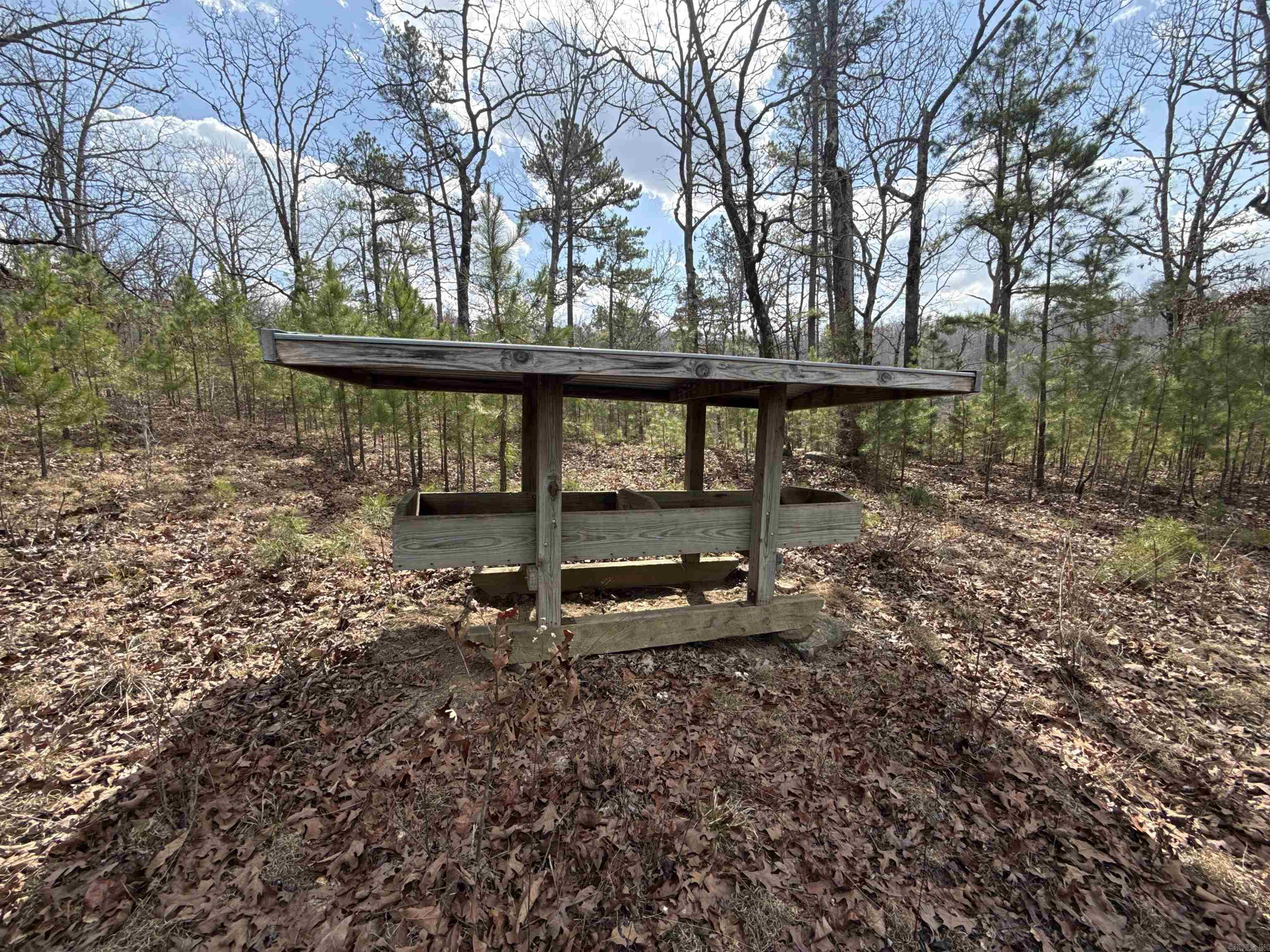 000 Daniel Hill  Leslie, AR