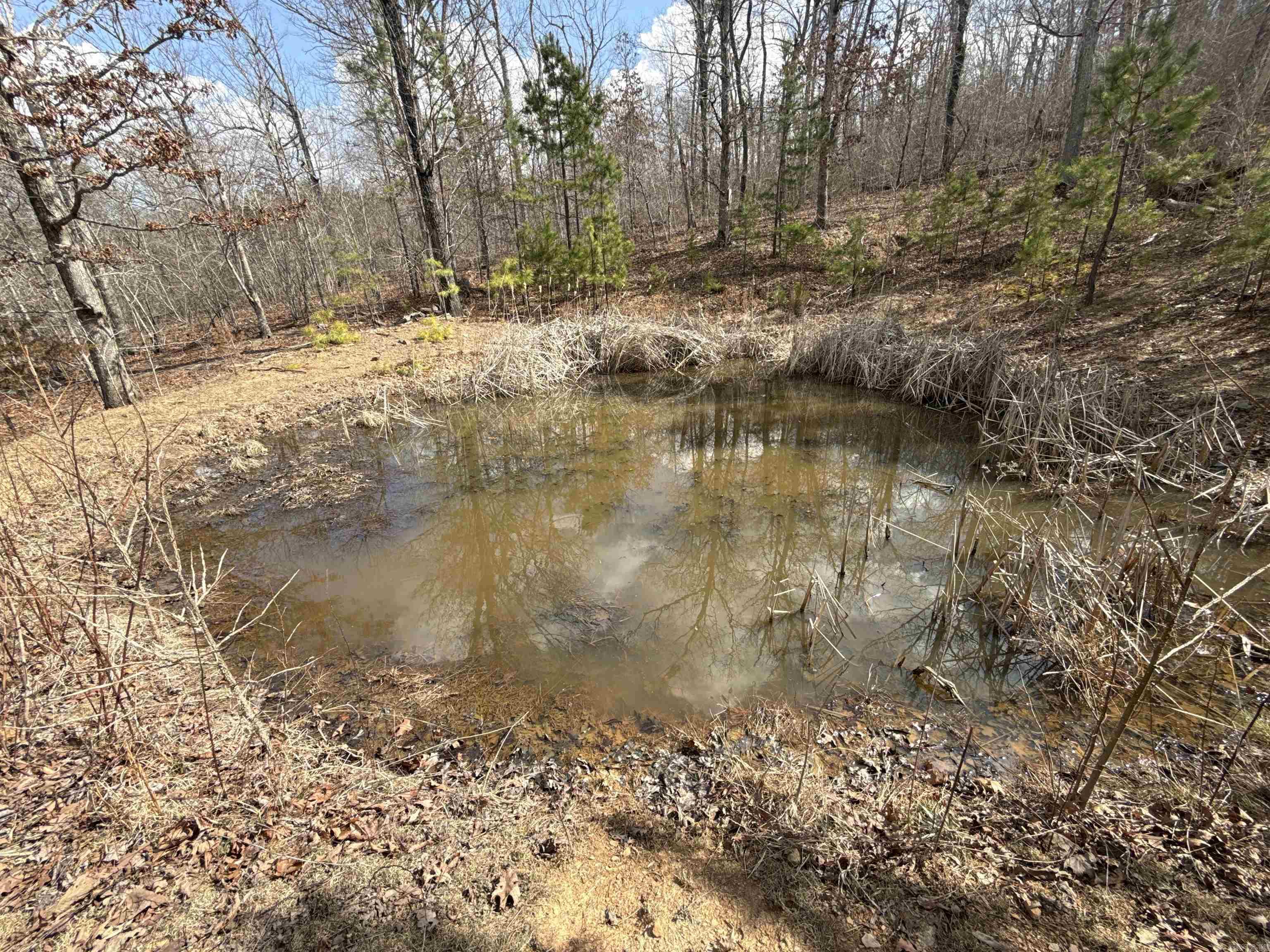 000 Daniel Hill  Leslie, AR