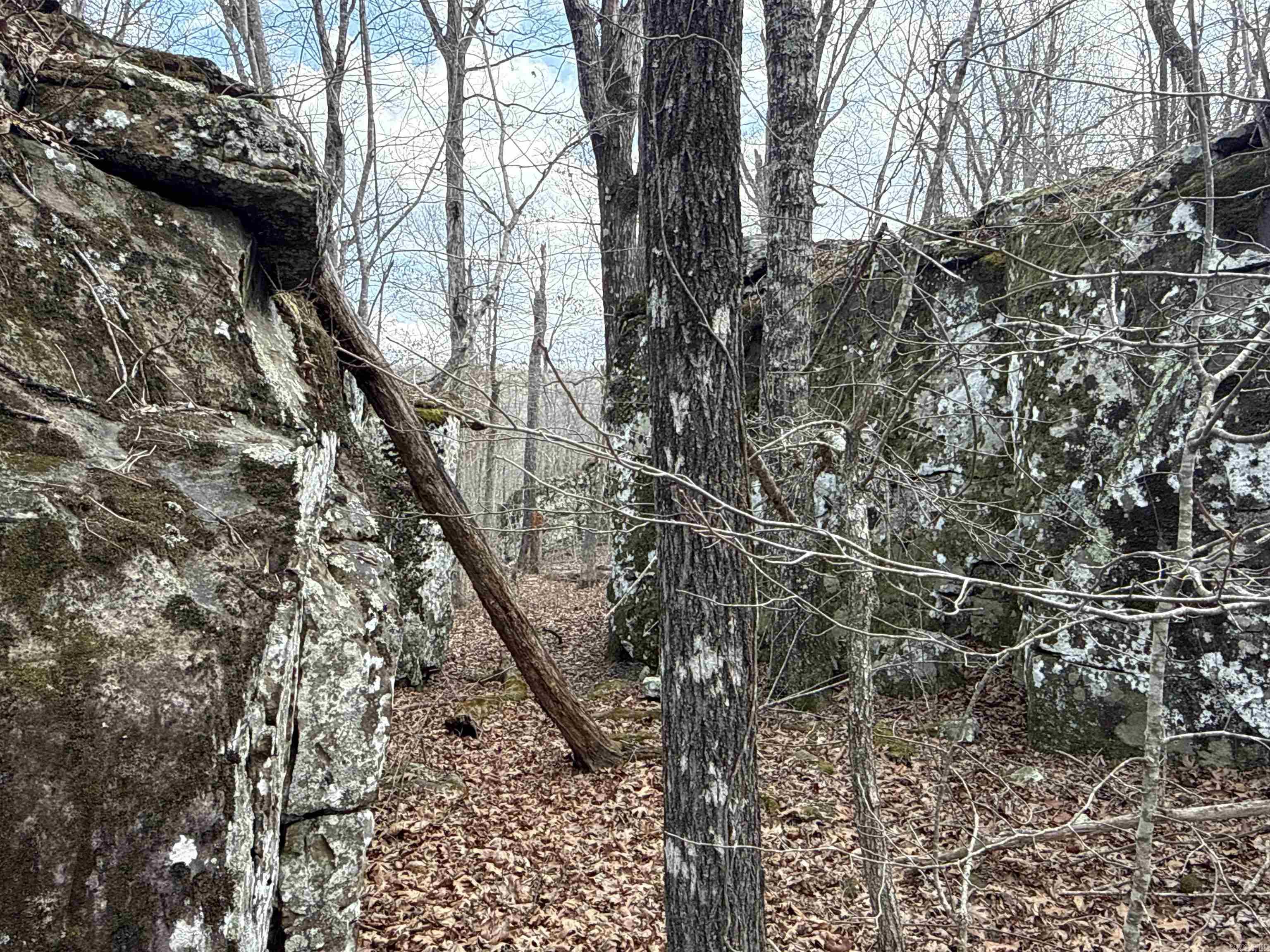 000 Daniel Hill  Leslie, AR