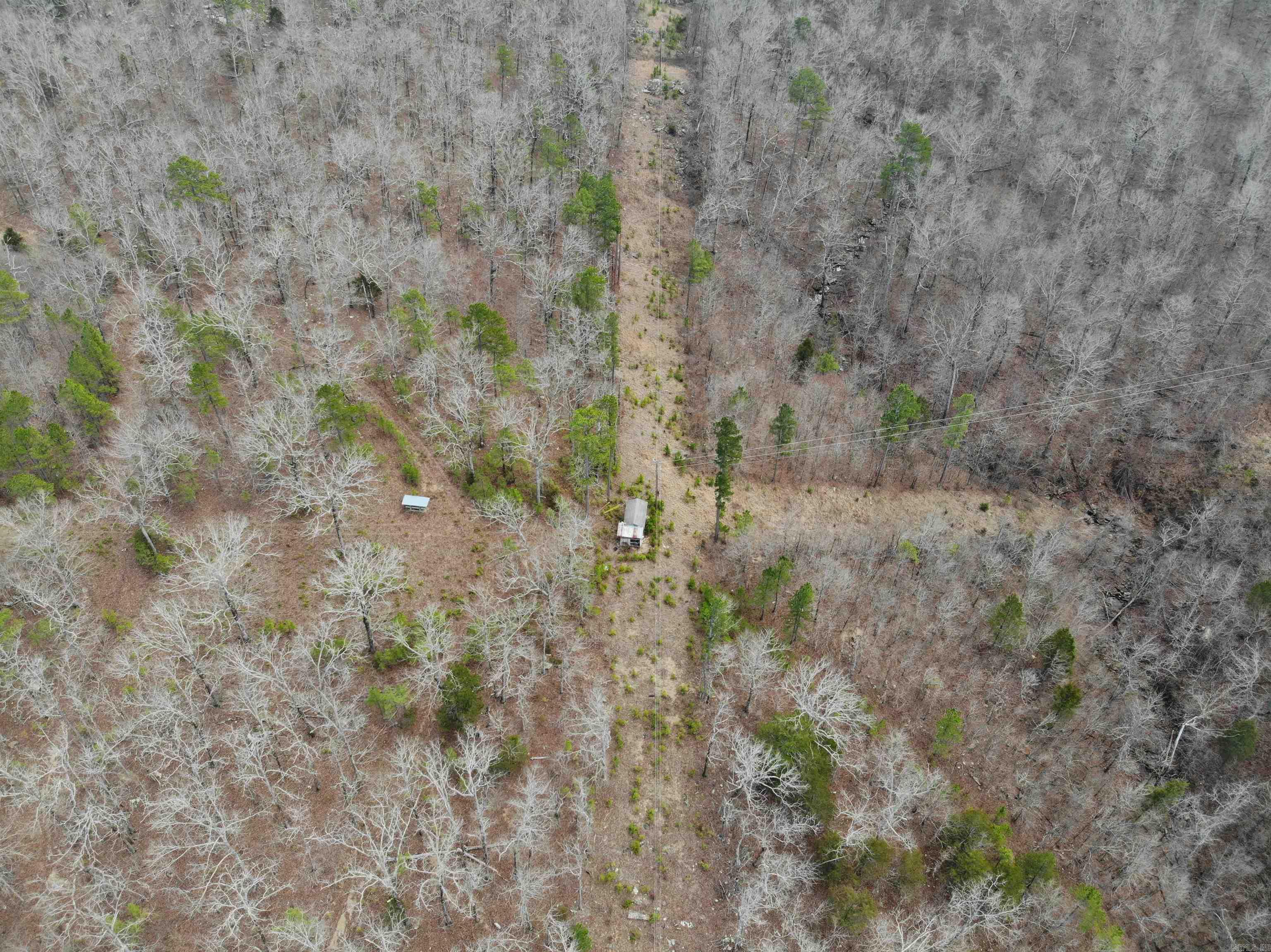 000 Daniel Hill  Leslie, AR