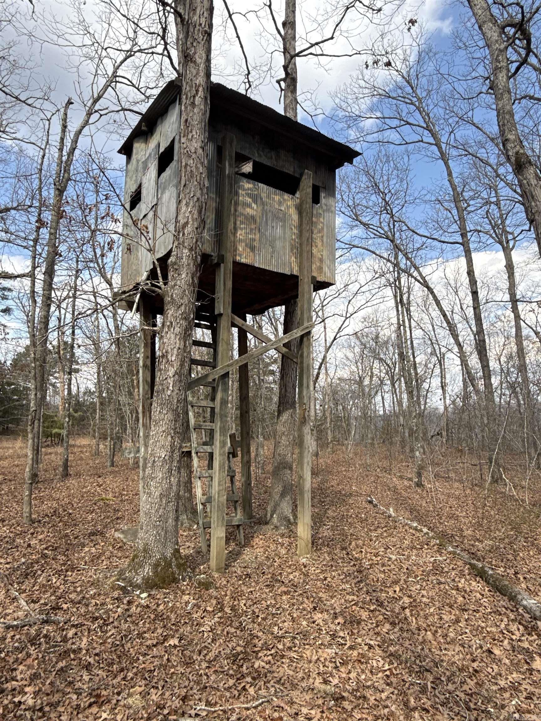 000 Daniel Hill  Leslie, AR