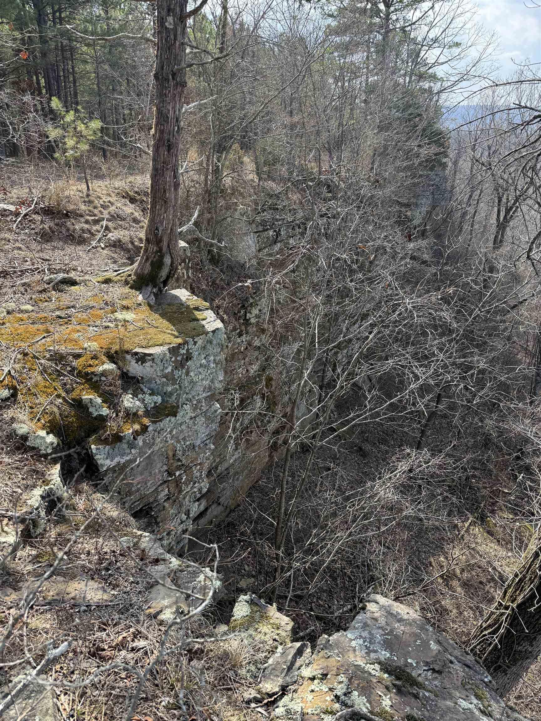 000 Daniel Hill  Leslie, AR