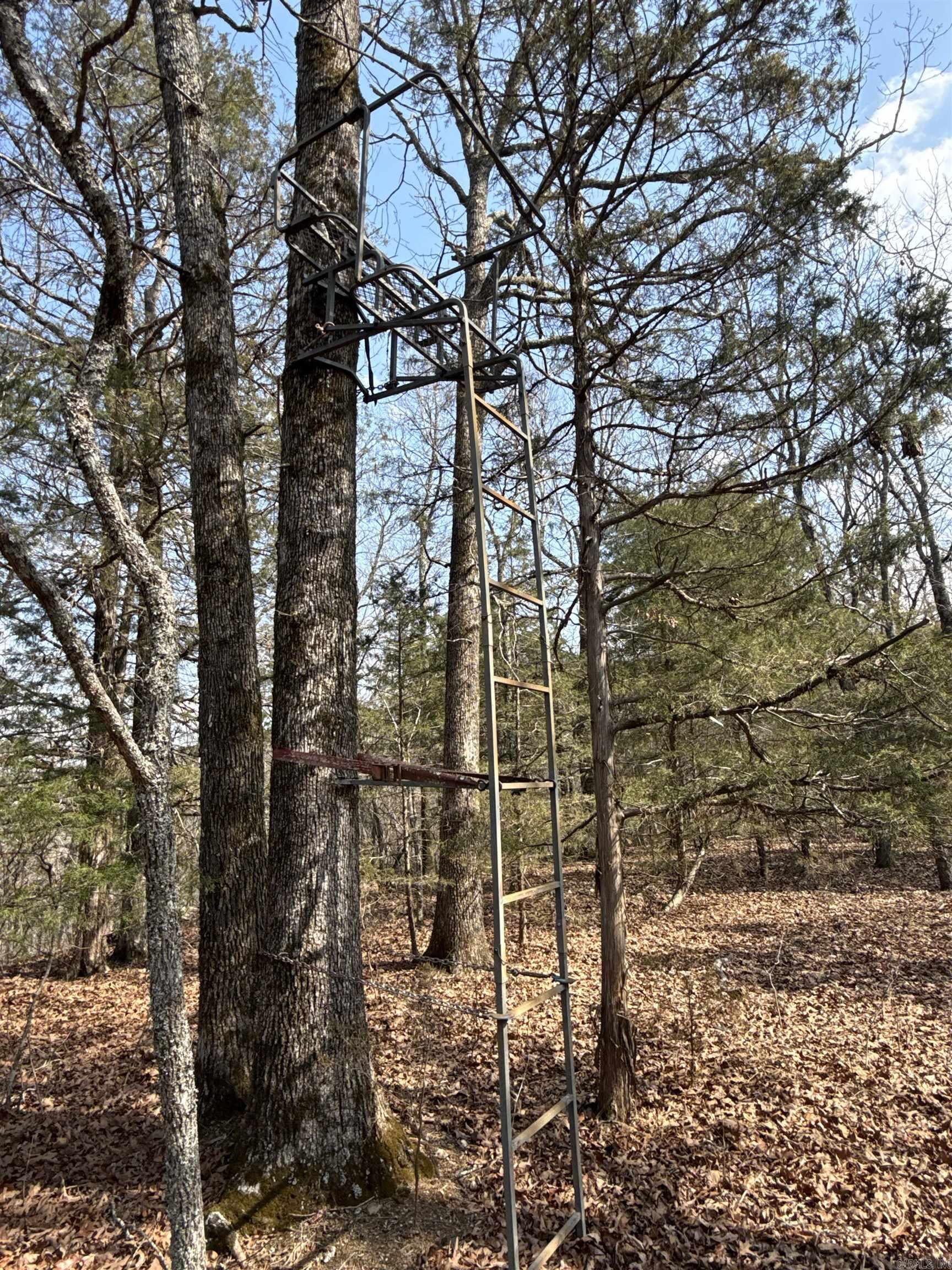 000 Daniel Hill  Leslie, AR