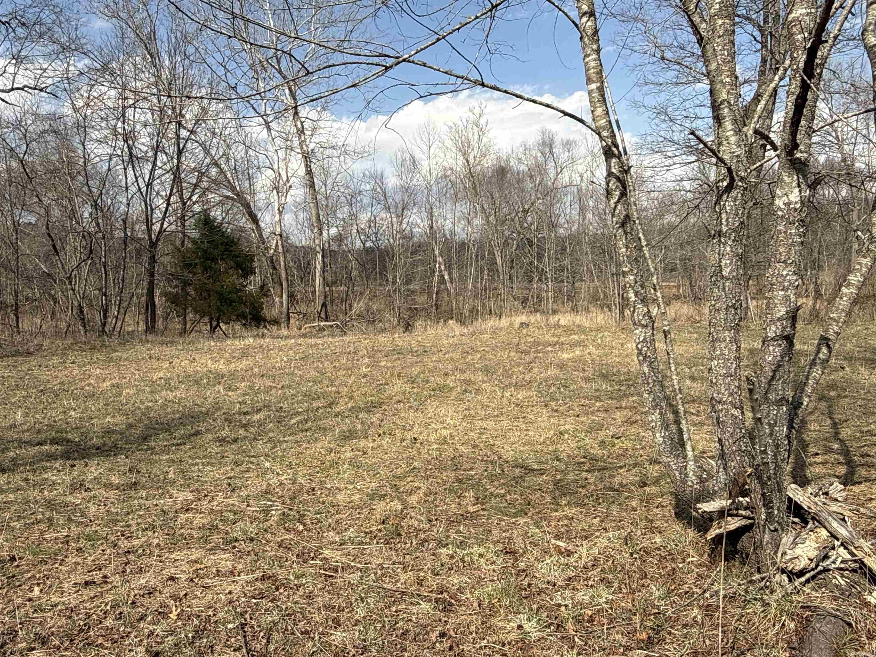 000 Daniel Hill  Leslie, AR