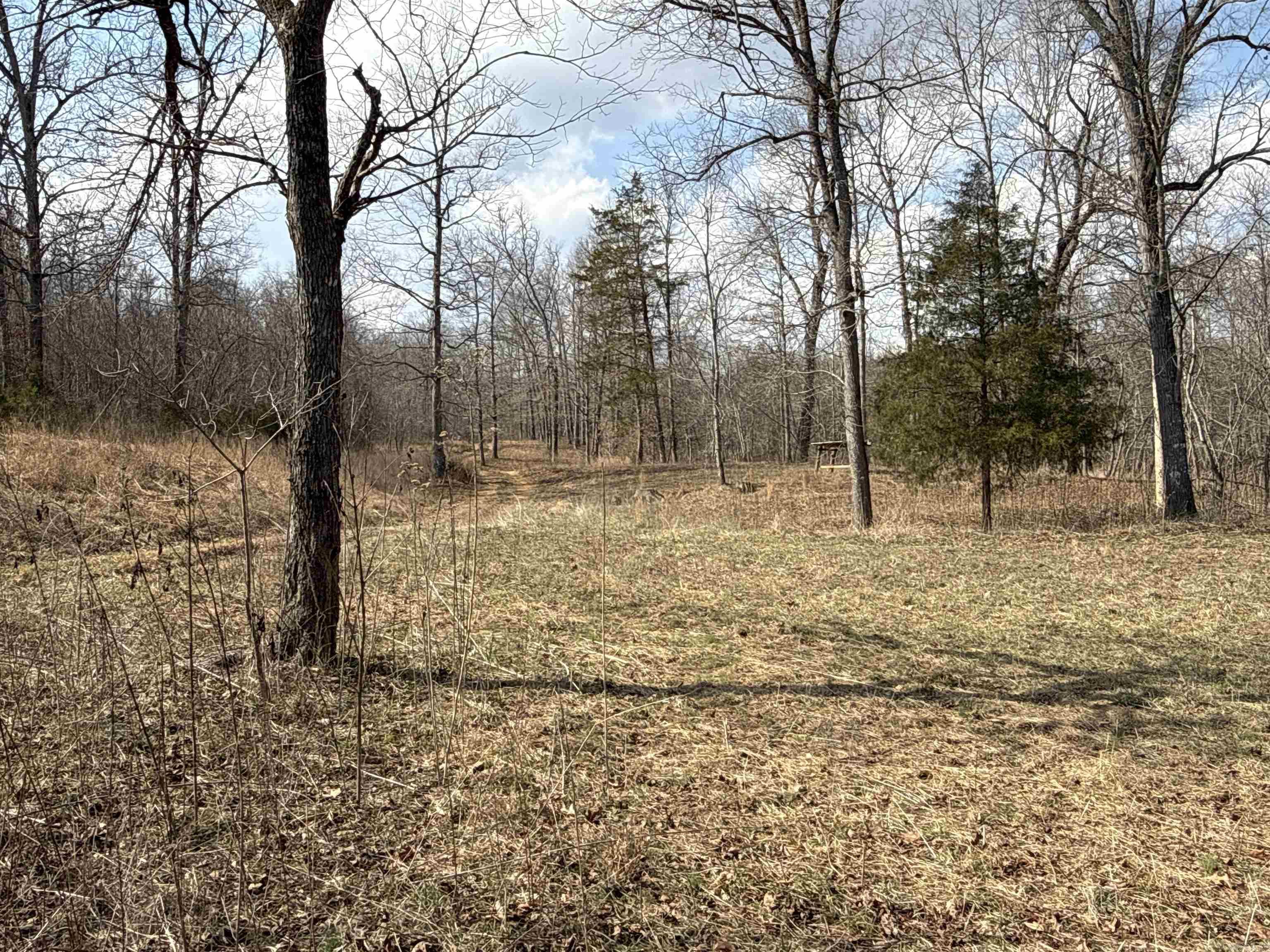 000 Daniel Hill  Leslie, AR