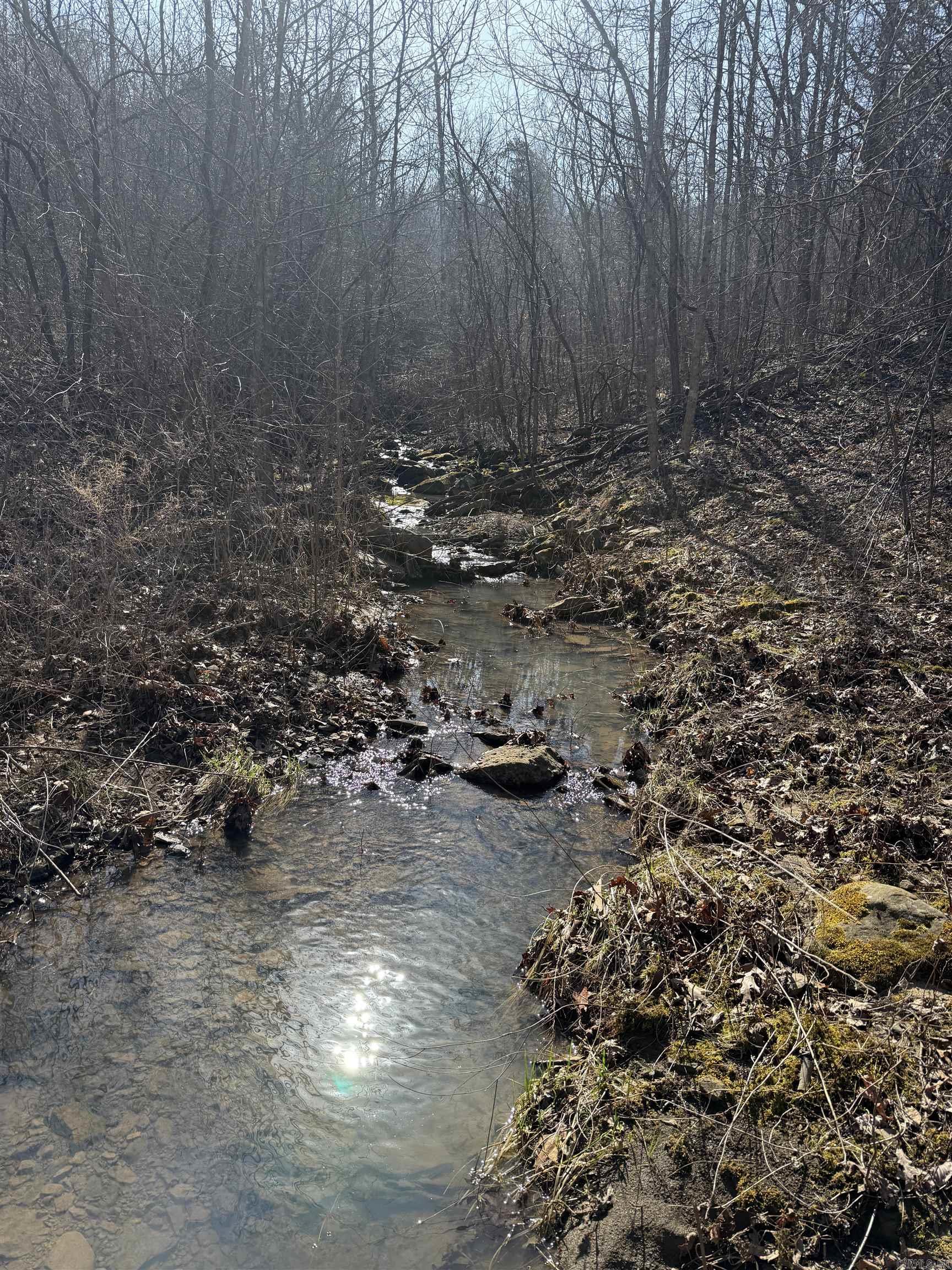 000 Daniel Hill  Leslie, AR