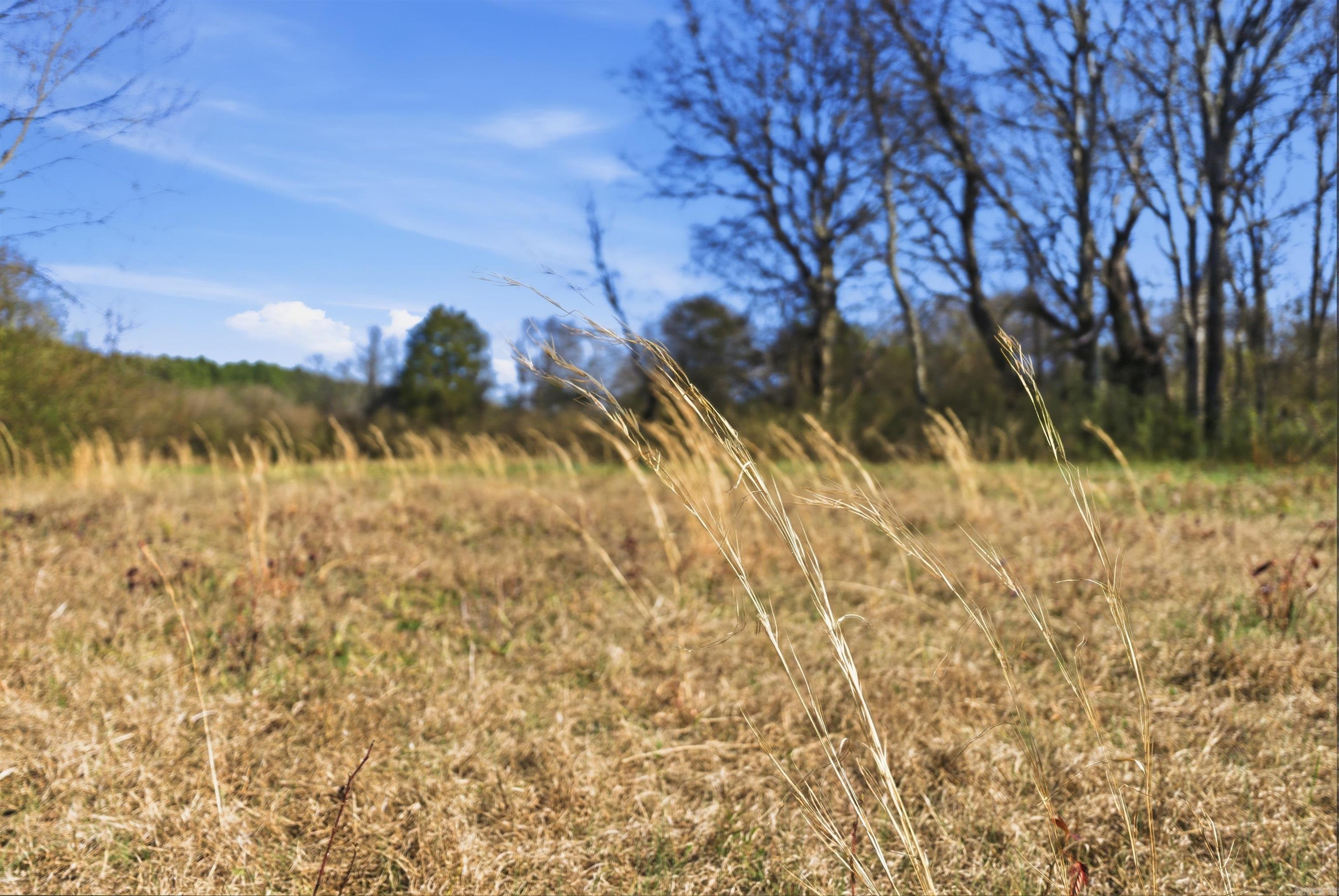 0 Hwy 287  Holland, AR