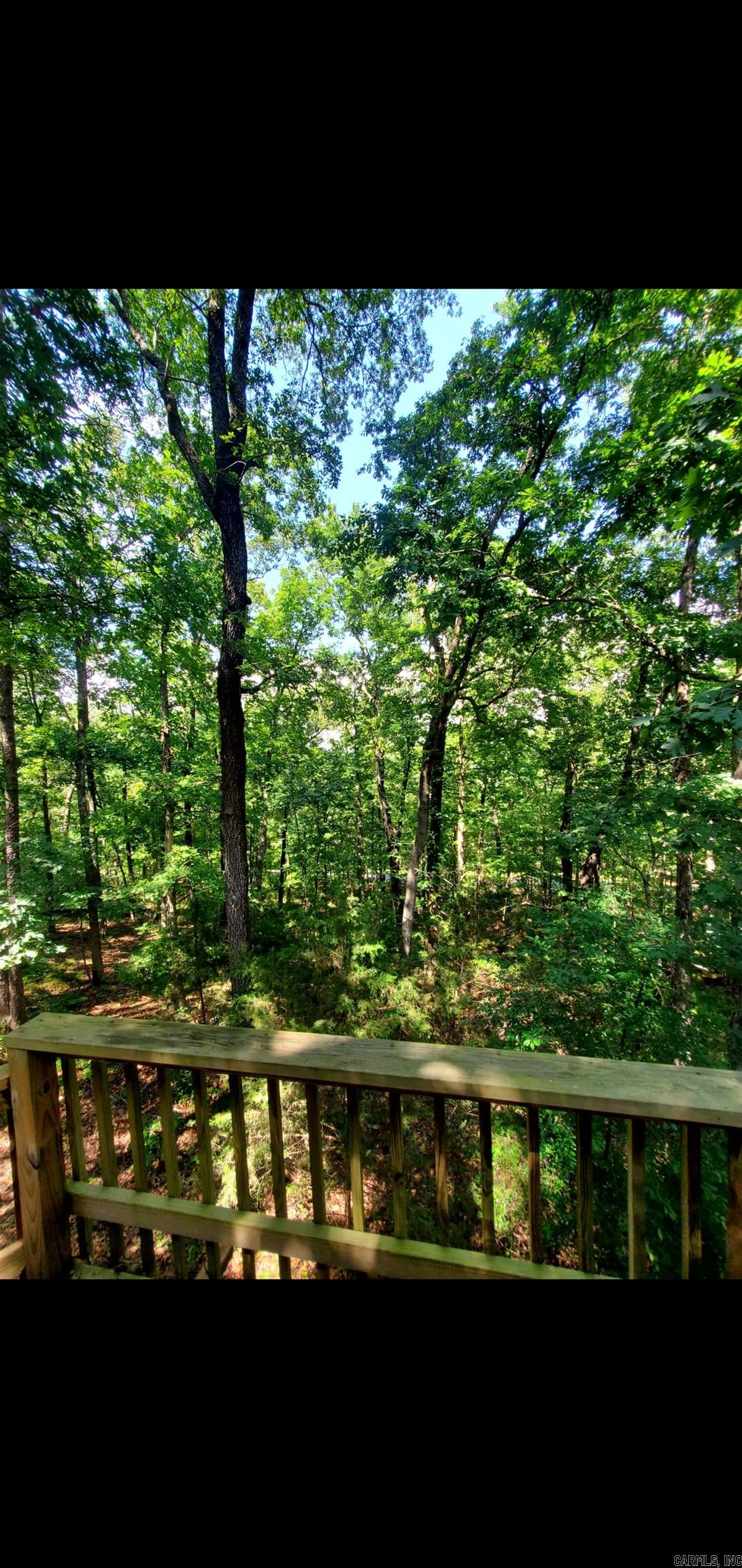 113 Sky King  Fairfield Bay, AR