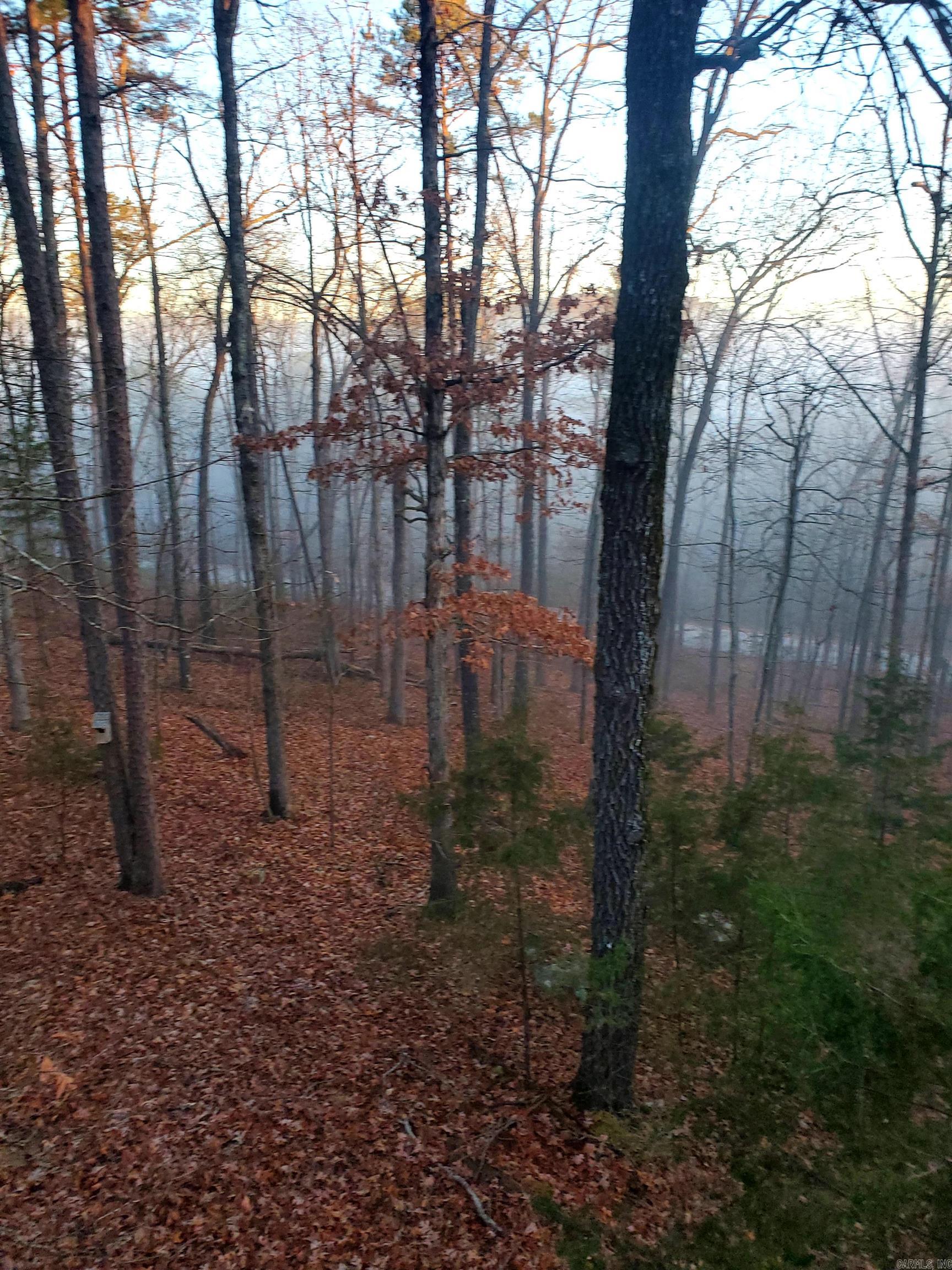 113 Sky King  Fairfield Bay, AR