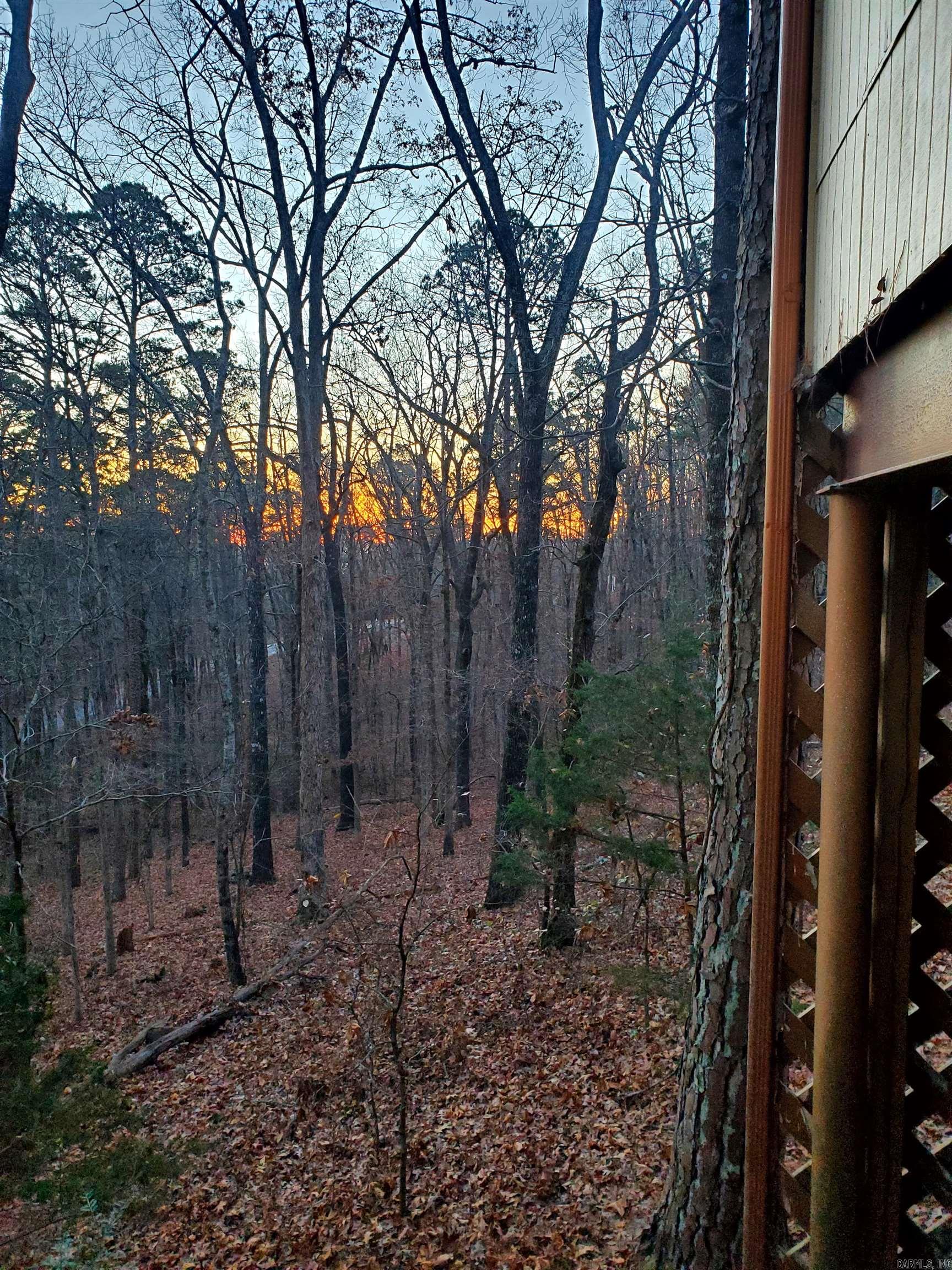 113 Sky King  Fairfield Bay, AR