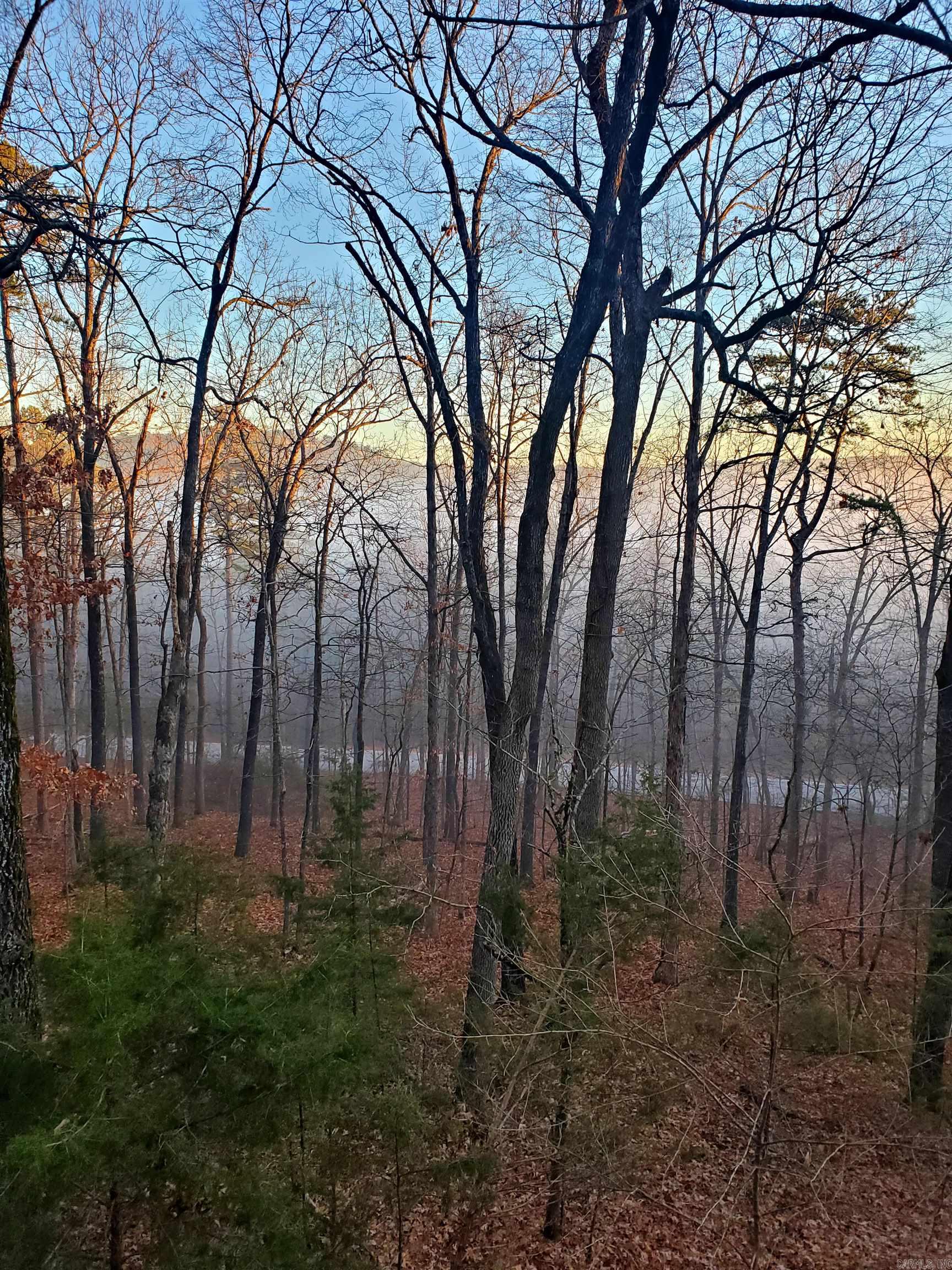 113 Sky King  Fairfield Bay, AR