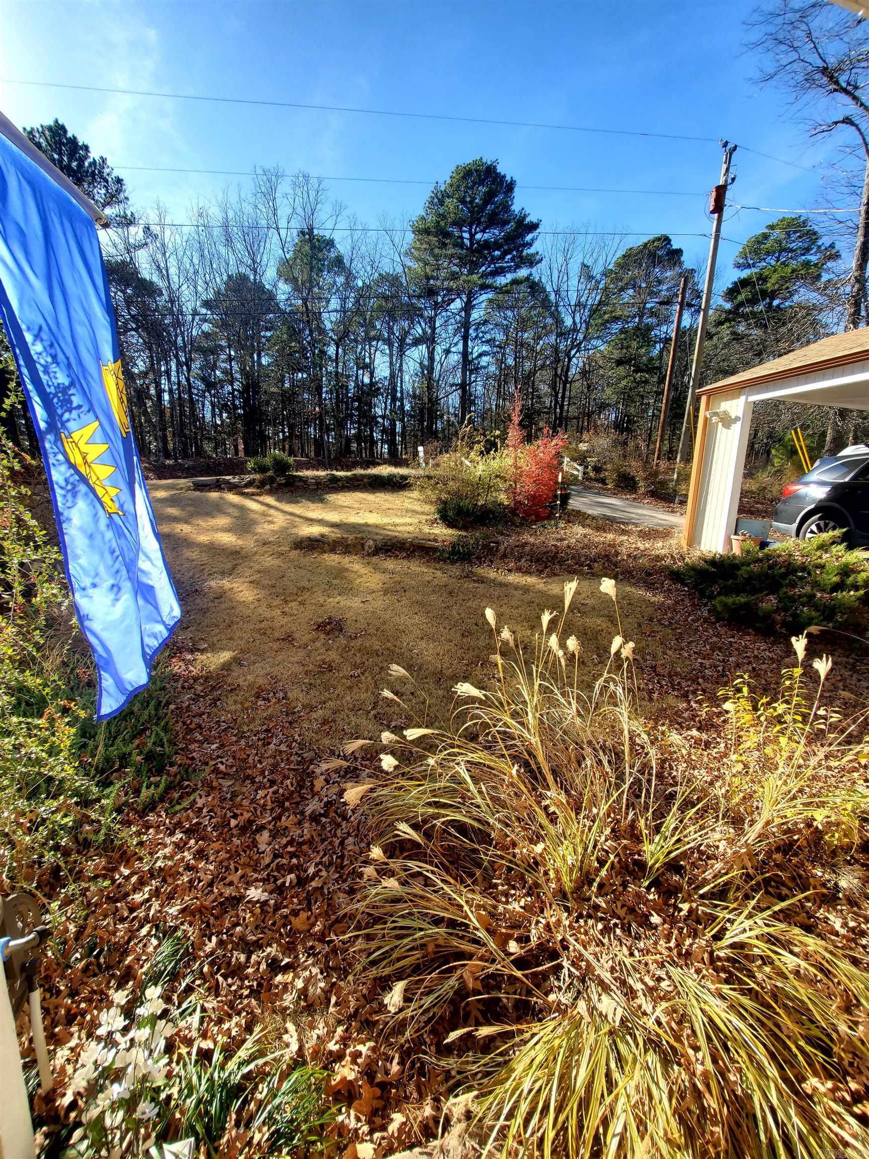 113 Sky King  Fairfield Bay, AR