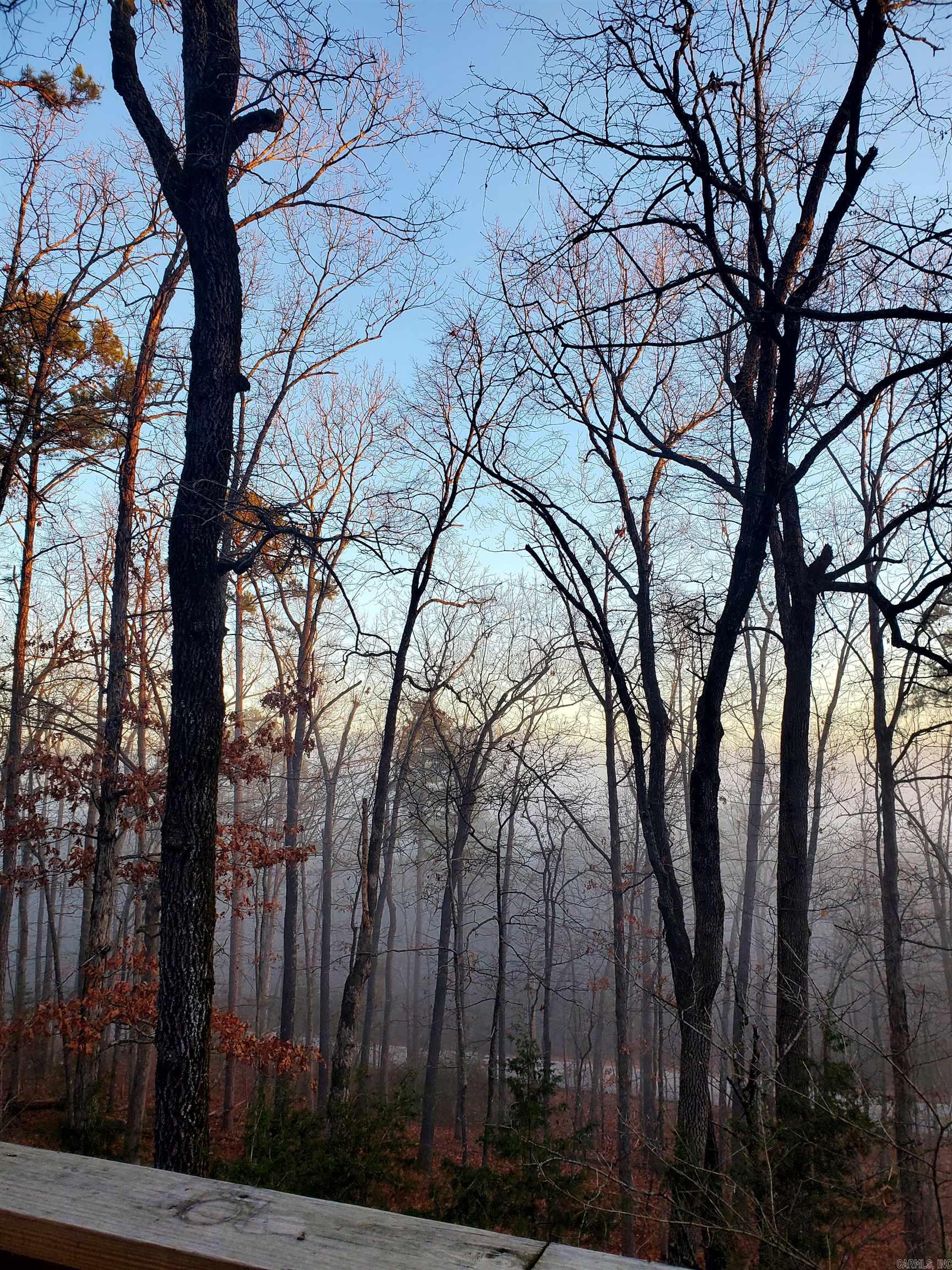 113 Sky King  Fairfield Bay, AR