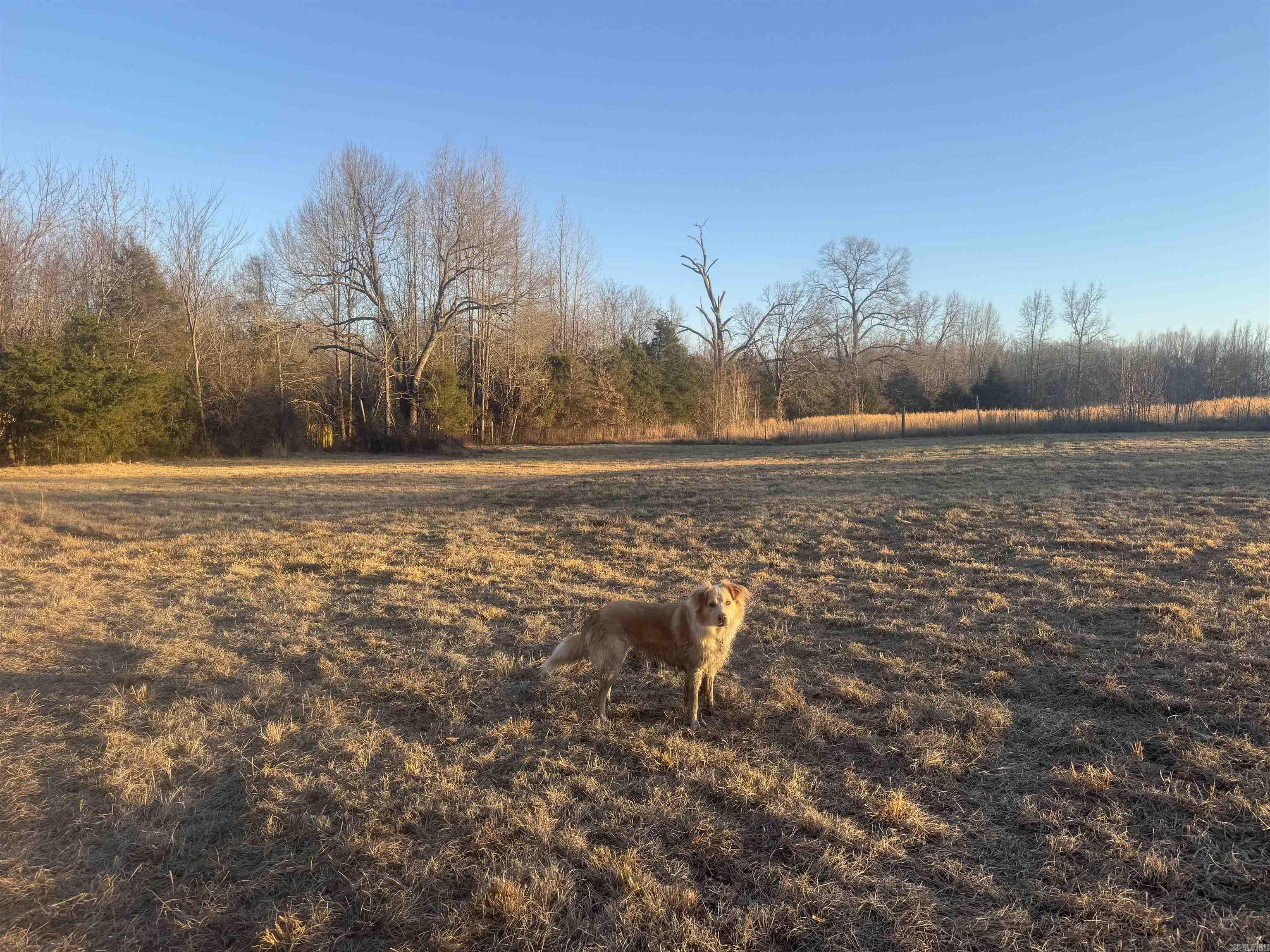 137 Union Rd.  Wooster, AR