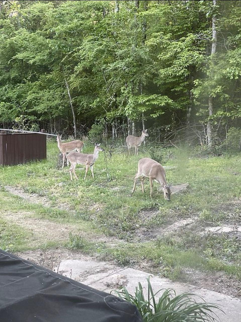 135 County Road 734  Wynne, AR