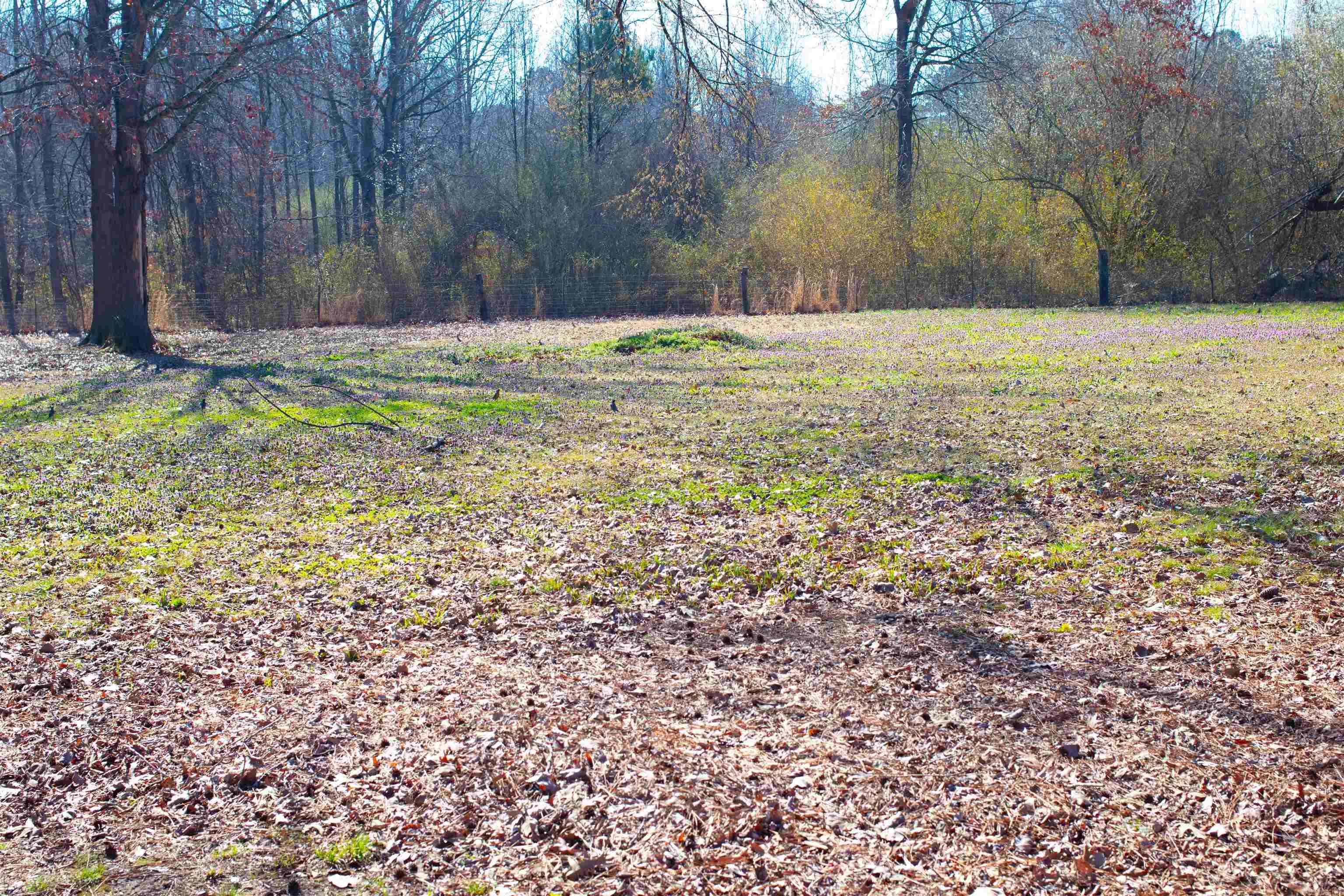 2923 Graham  Jacksonville, AR