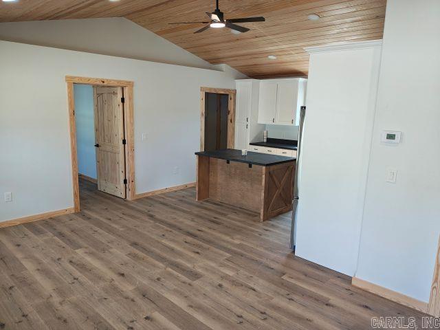 605 Frances Cove  Mountain View, AR