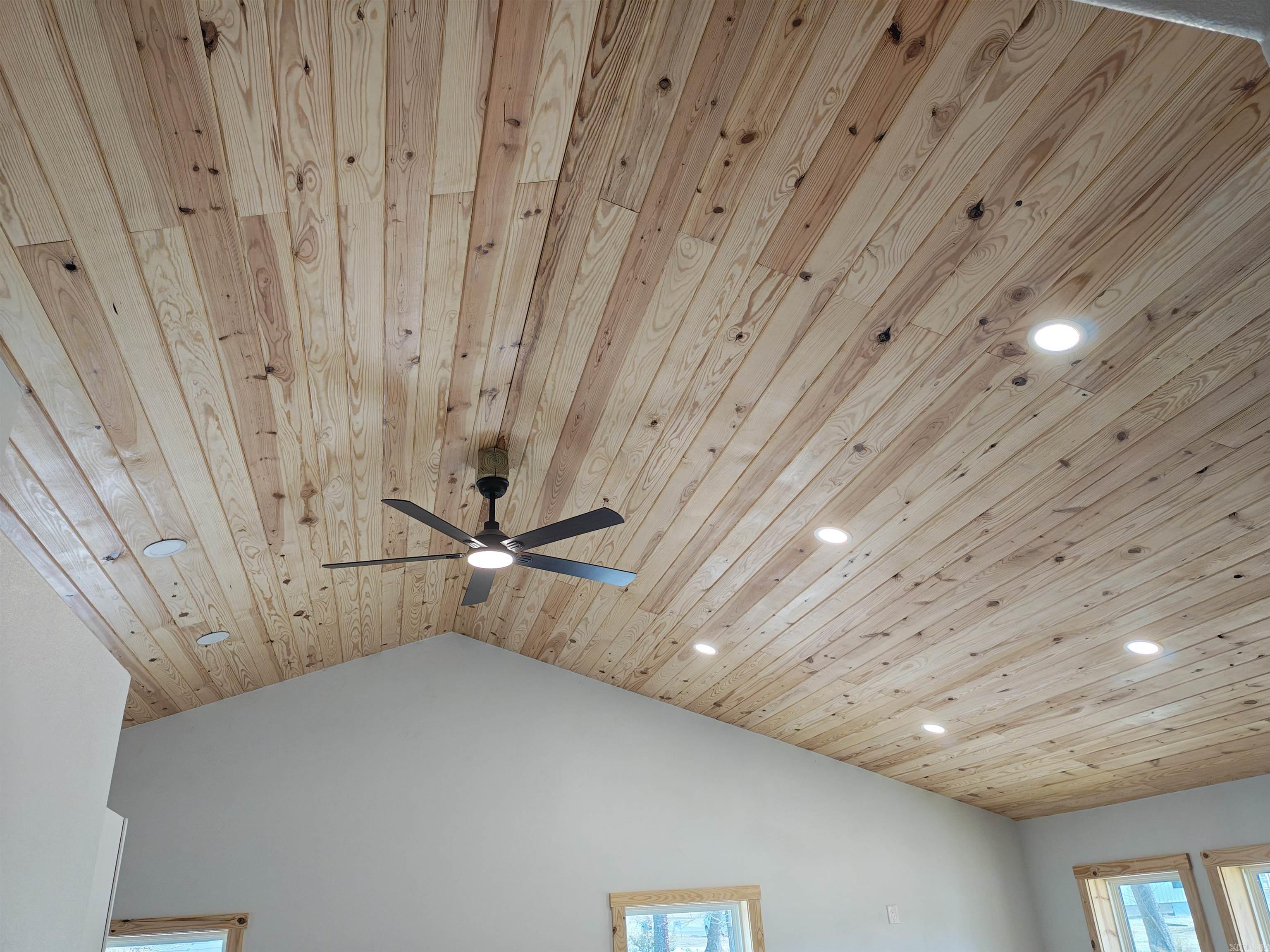 600 Frances Cove  Mountain View, AR