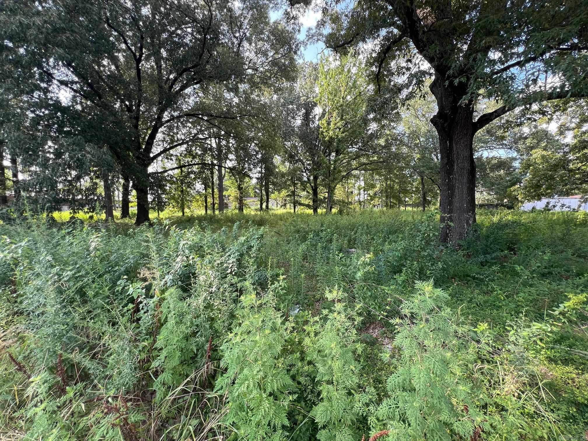 6100 Young  Little Rock, AR