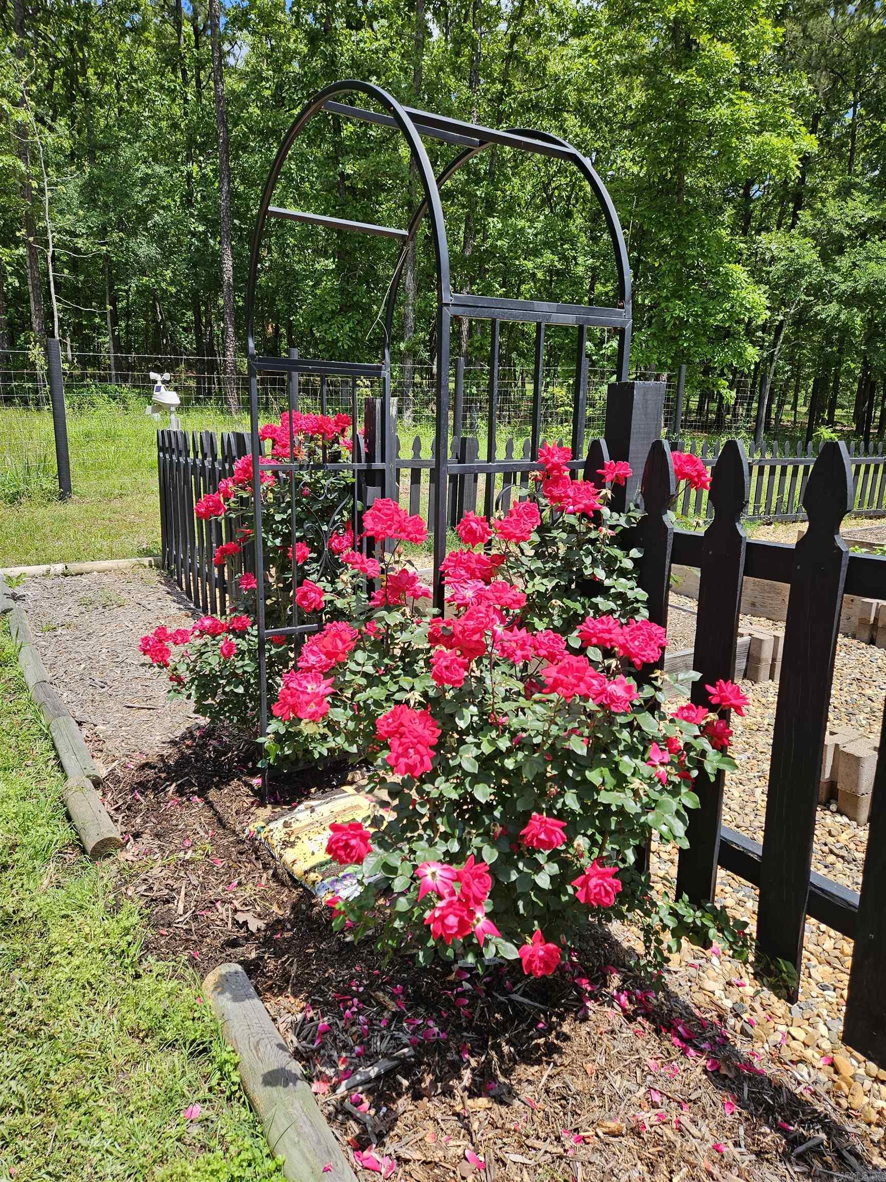 419 E Colonel Glenn  Little Rock, AR