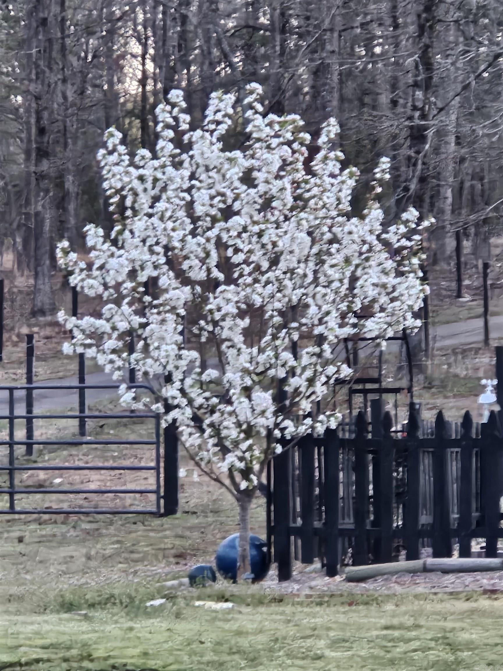 419 E Colonel Glenn  Little Rock, AR