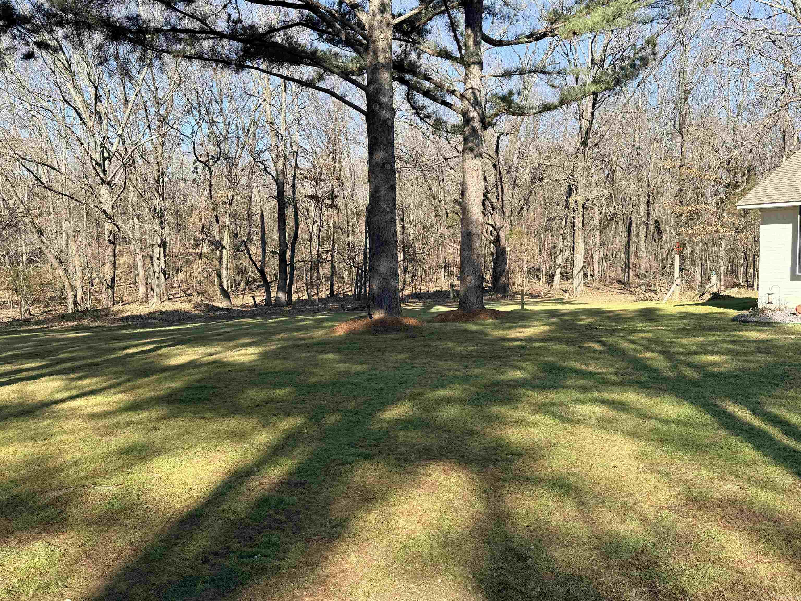 4208 Peachtree Ave  Jonesboro, AR