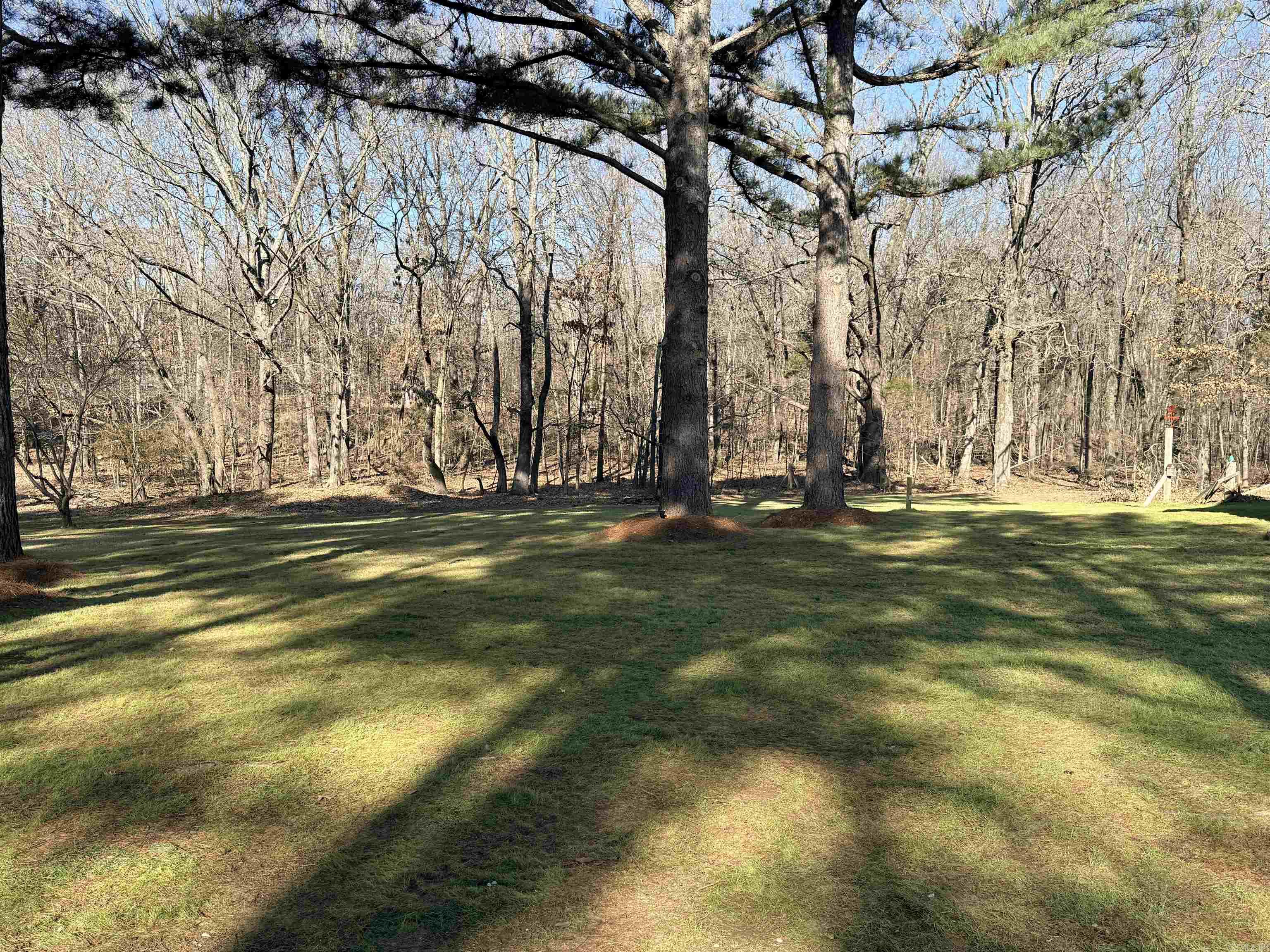 4208 Peachtree Ave  Jonesboro, AR