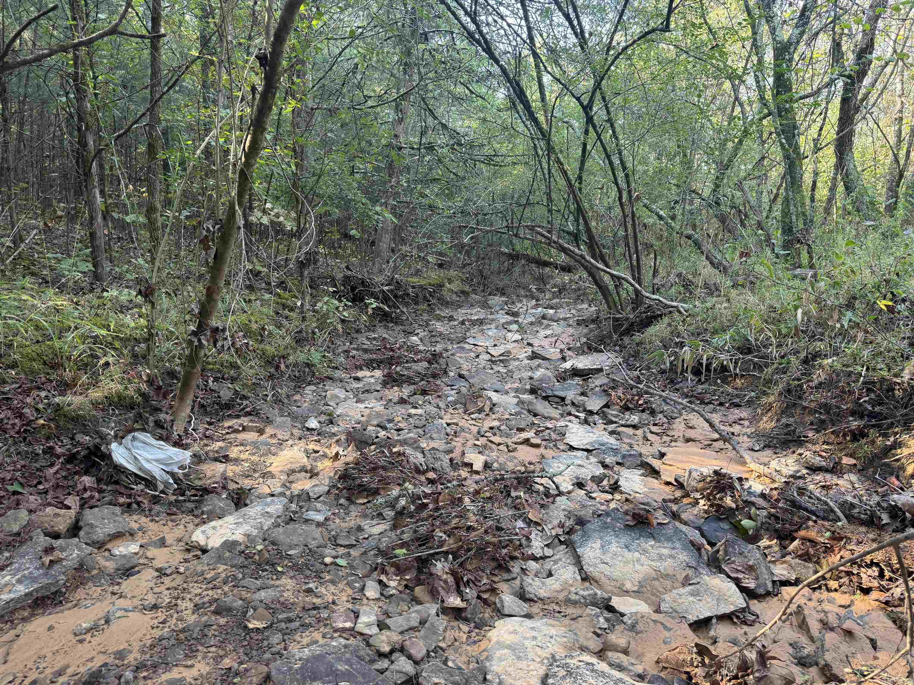 00 Long Branch  Bee Branch, AR